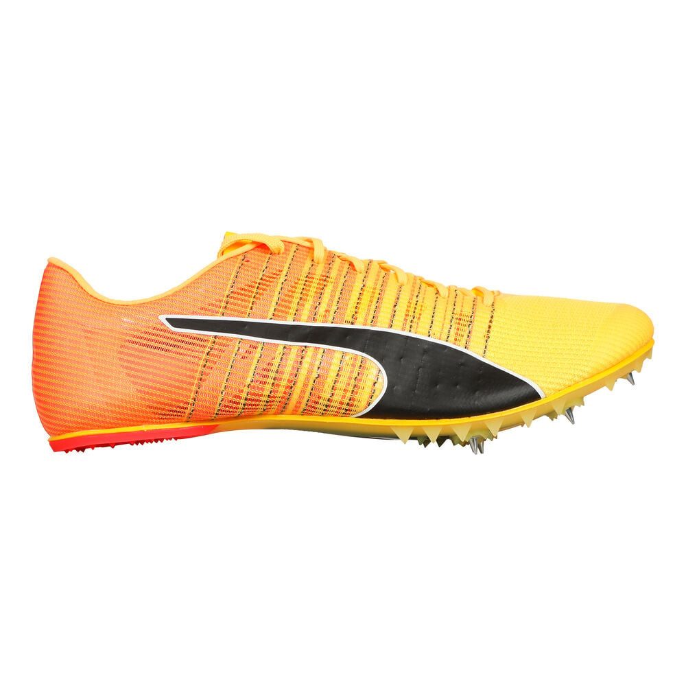 PUMA Evospeed Future 6 - Spikeschuh günstig online kaufen