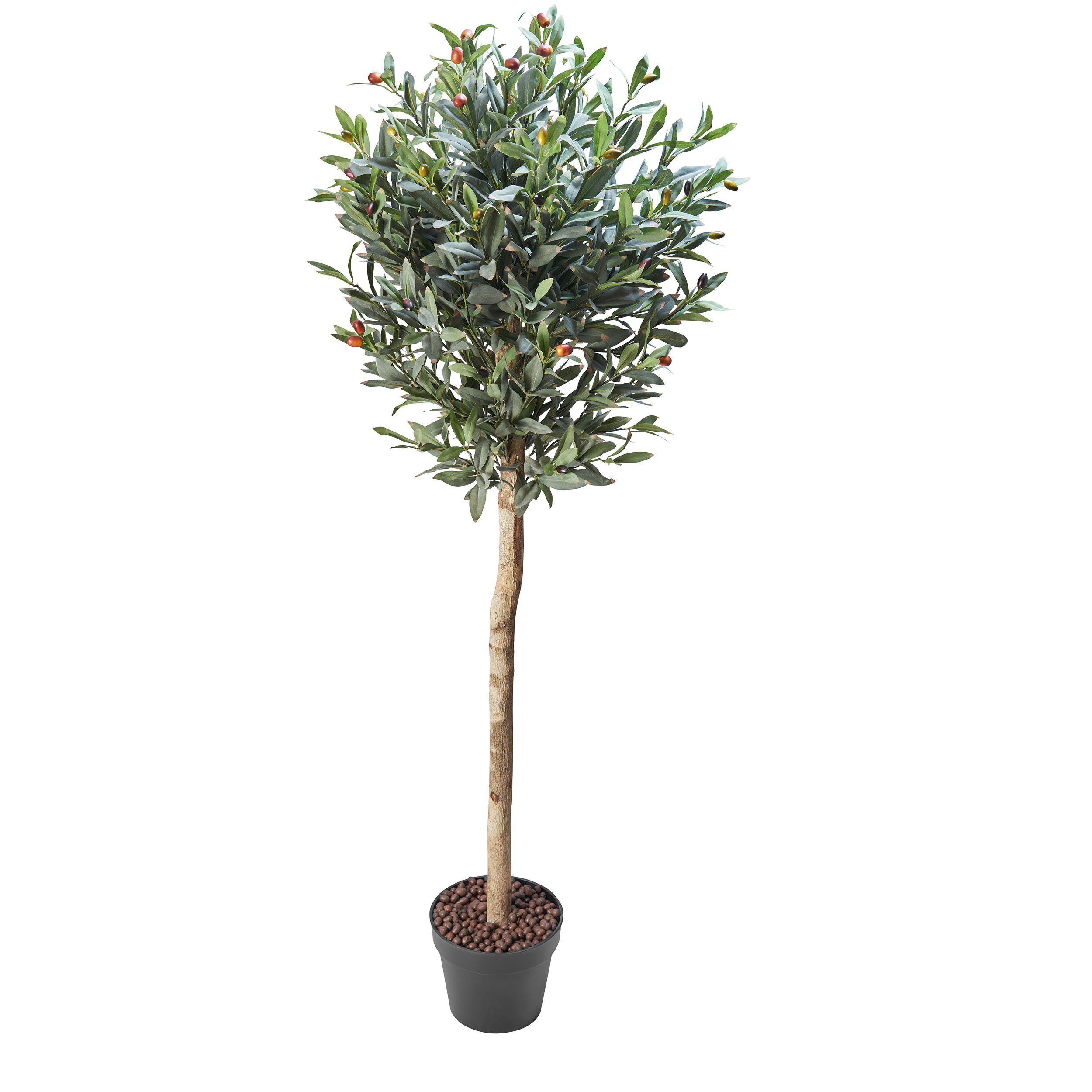 Kunstbaum Dekopflanze Kunstpflanze Olivenbaum Amare cm Höhe cm Dekopflanze, 150 150 home