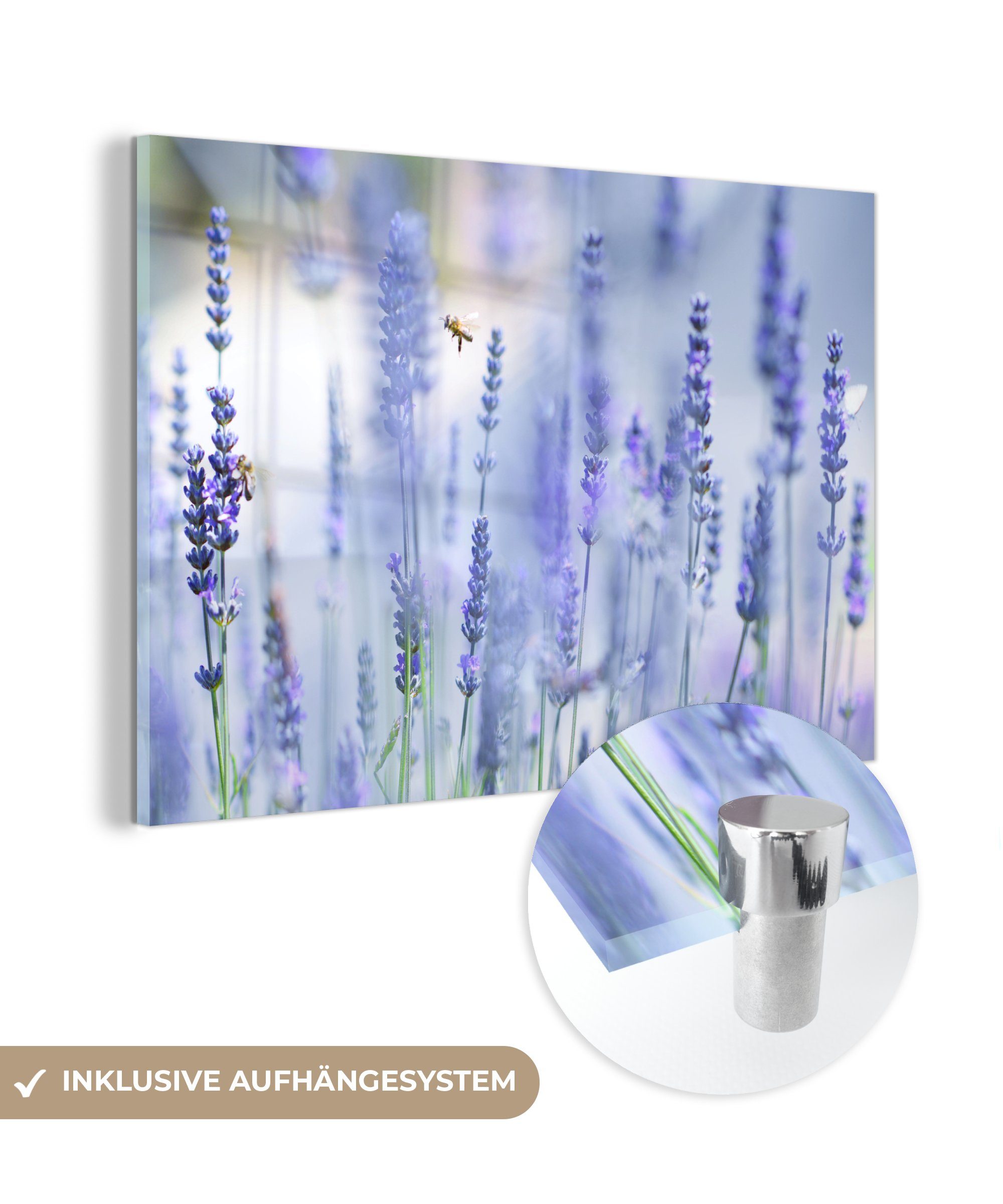 MuchoWow Acrylglasbild Bienen in einem Lavendelfeld, (1 St), Acrylglasbilder Wohnzimmer & Schlafzimmer