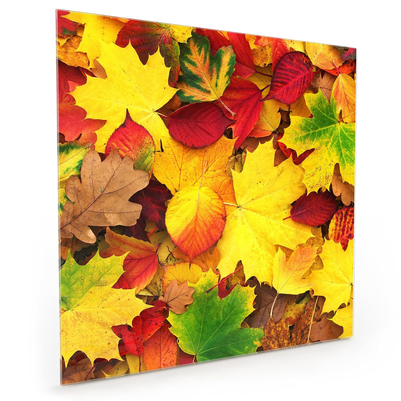 Küchenrückwand Küchenrückwand Motiv Spritzschutz Herbstblätter Glas mit Primedeco