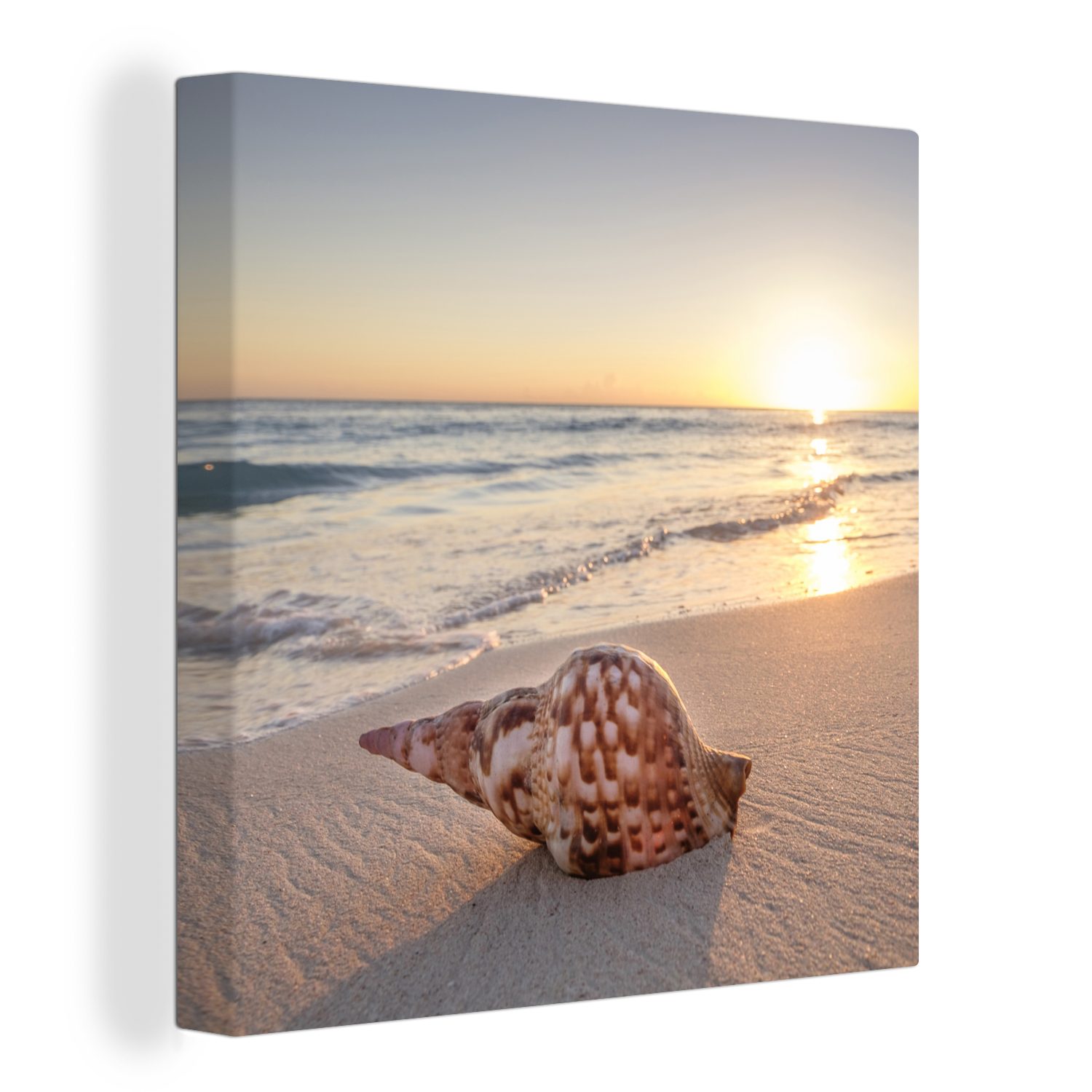 OneMillionCanvasses® Leinwandbild Muschel - Strand - Himmel, (1 St), Leinwand Bilder für Wohnzimmer Schlafzimmer