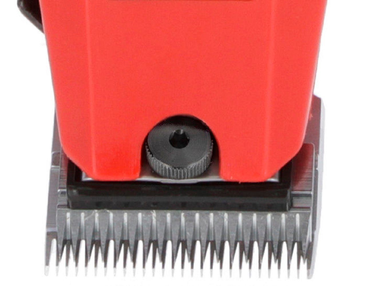 Kerbl Hundeschermaschine Aesculap Schermaschine Favorita II