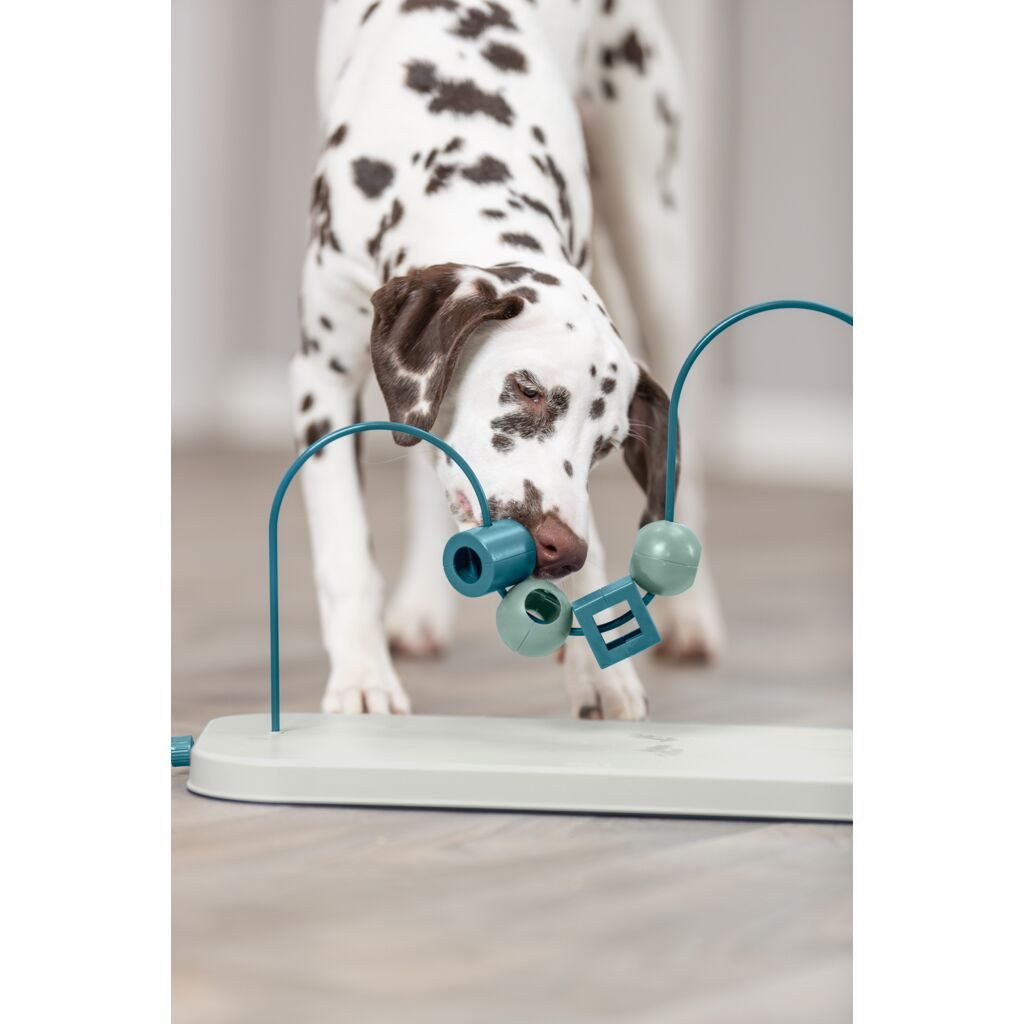 TRIXIE Tier-Intelligenzspielzeug Skills Loop - diverse - 43 cm, Kunststoff, Metall