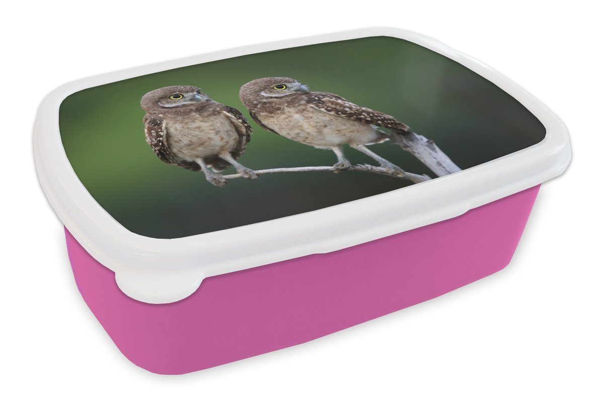MuchoWow Lunchbox Zwei Kanincheneulen auf einem Ast, Kunststoff, (2-tlg), Brotbox für Erwachsene, Brotdose Kinder, Snackbox, Mädchen, Kunststoff rosa