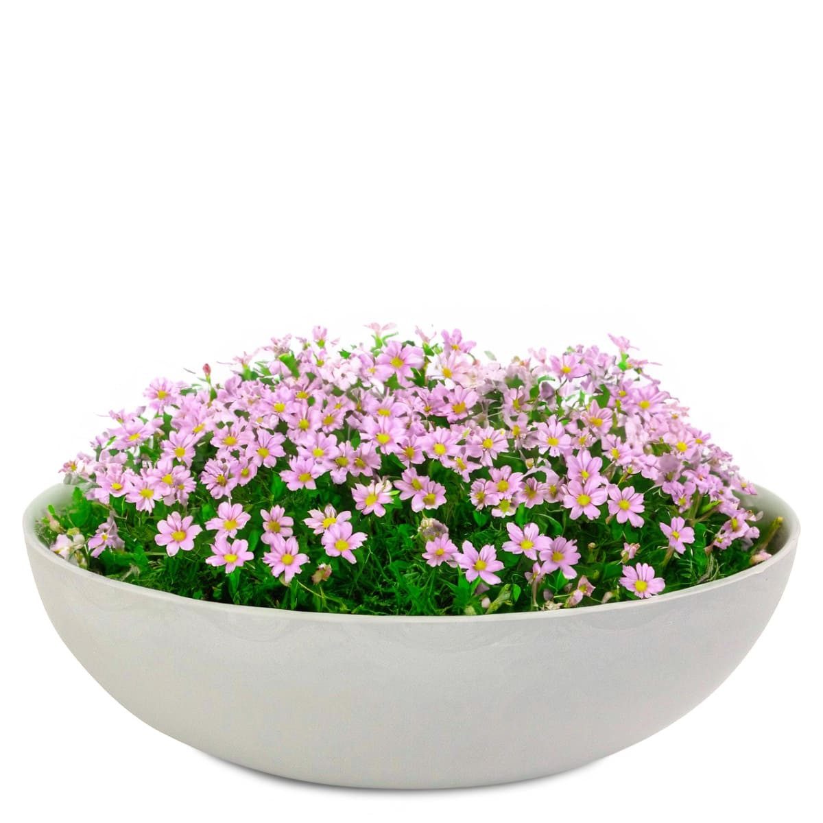 matches21 HOME & HOBBY Blumentopf Pflanzschalen für draussen Dekoschalen rund beige grau 30 cm (1 St), Blumen-Schale als wetterfeste Friedhof-Schale Grab-Schmuck Grabschale