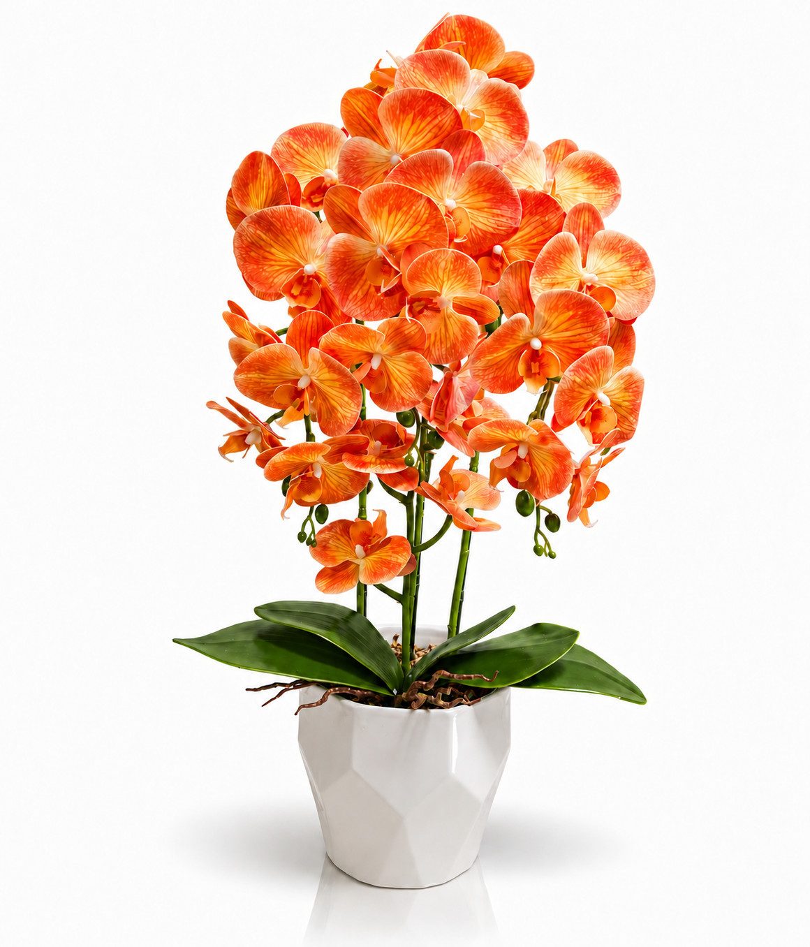 Kunstorchidee PASCH® Orchidee künstlich wie echt in Hochglanz-Keramiktopf Orchidee, PASCH, Hochglanz Keramiktopf