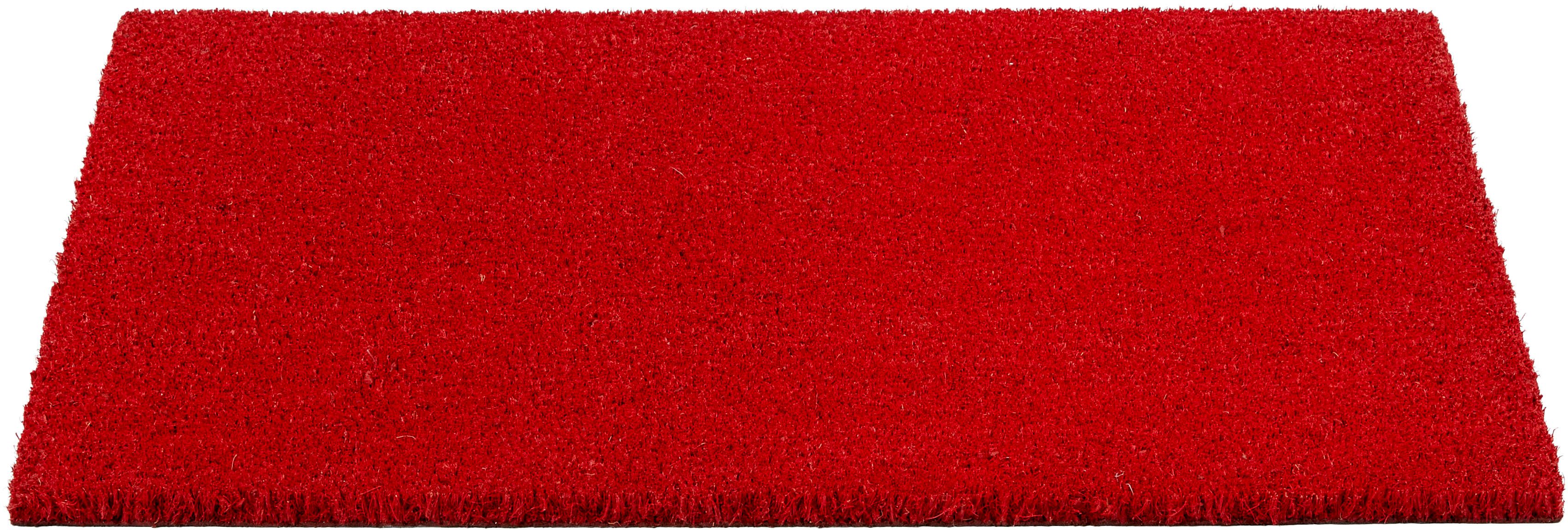ASTRA Fußmatte Coco Color Trend, rechteckig, günstig online kaufen