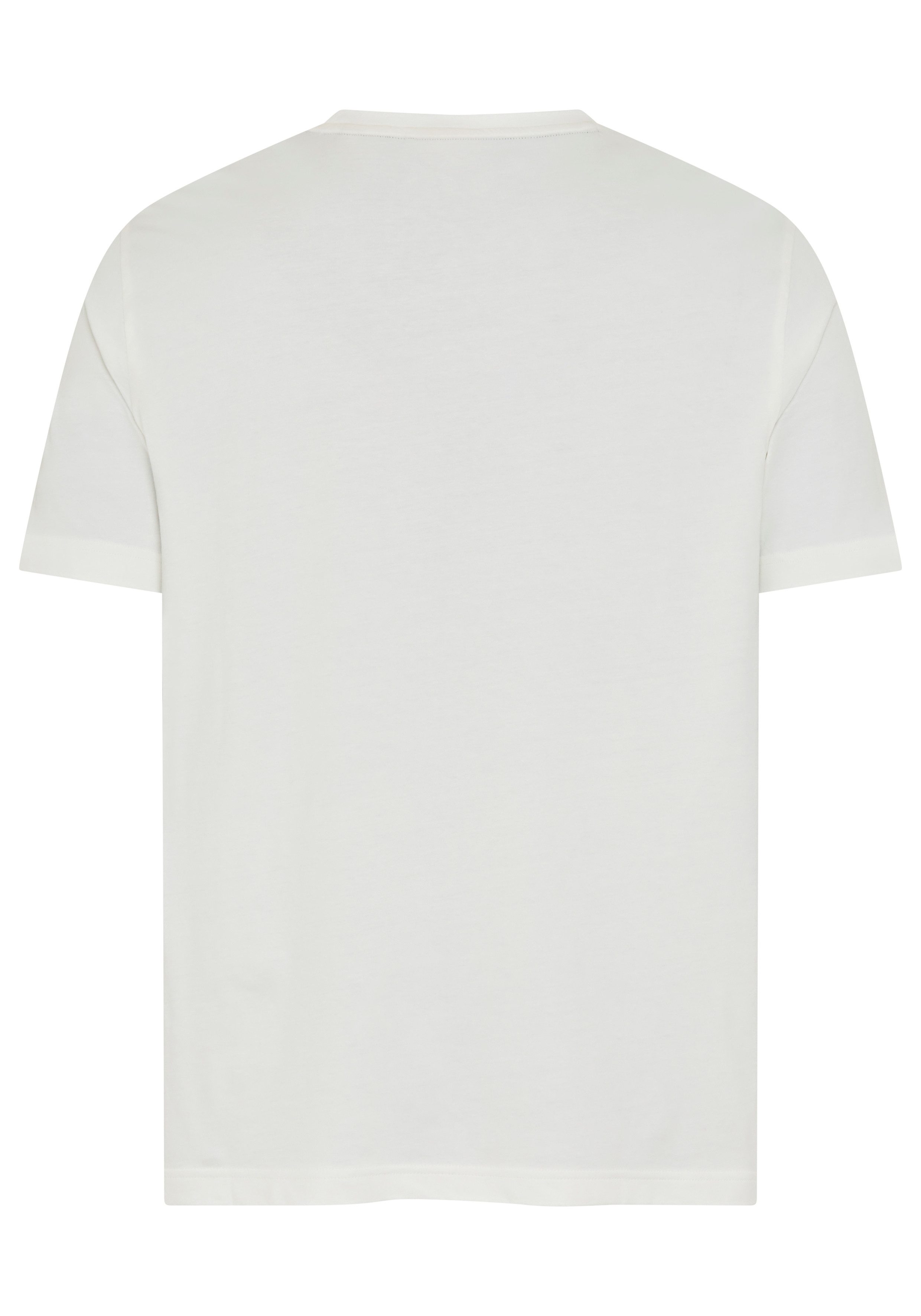 Gant T-Shirt GRAPHIC