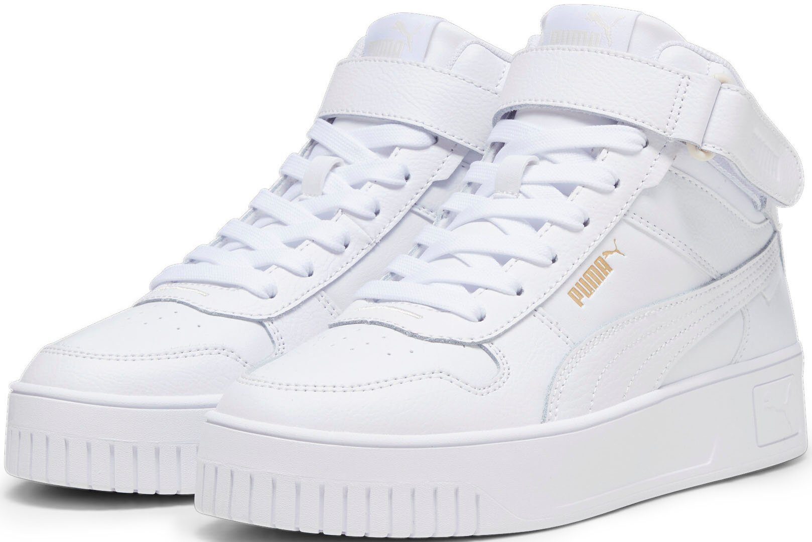 Otto puma cheap carina