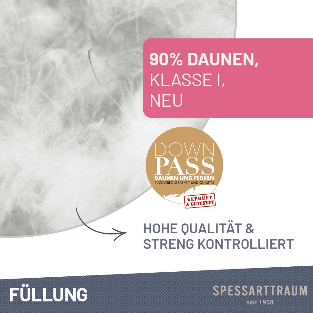 SPESSARTTRAUM Daunenkissen FIRST CLASS, Kopfkissen 1-tlg. oder 2-tlg. 40x80 oder 80x80 cm, Füllung: 90% Daunen, 10%Federn, Bezug: 100% Baumwolle, hergestellt in Deutschland, allergikerfreundlich, im Set günstiger