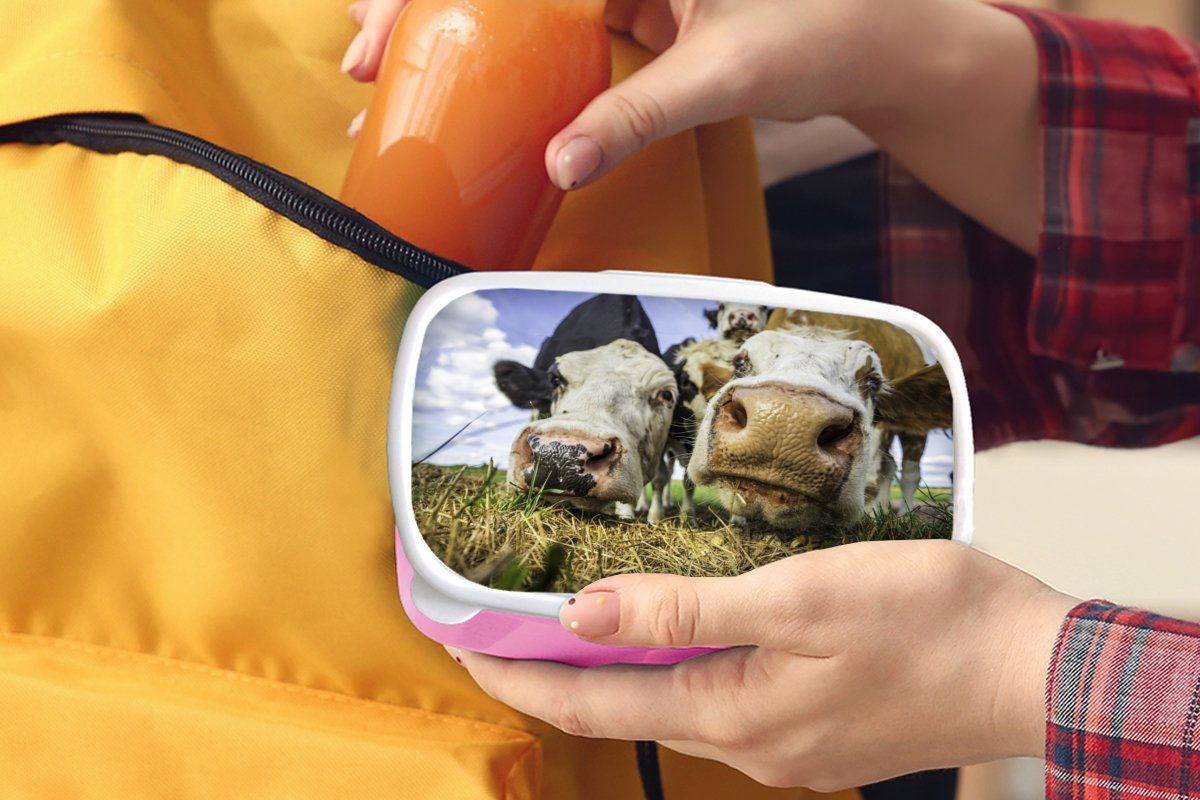 MuchoWow Lunchbox Kühe - Kunststoff (2-tlg), rosa Brotbox Kinder, Heu Snackbox, Mädchen, Kunststoff, für - Erwachsene, Brotdose Porträt