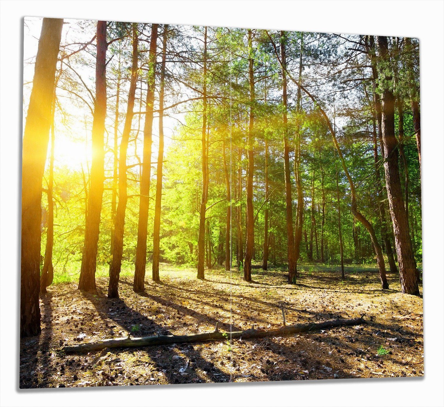 Wald, dem ESG-Sicherheitsglas, 2 (Glasplatte, Größen Noppen), hinter verschiedene tlg., Herd-Abdeckplatte 5mm tief inkl. Sonnenstrahlen Wallario