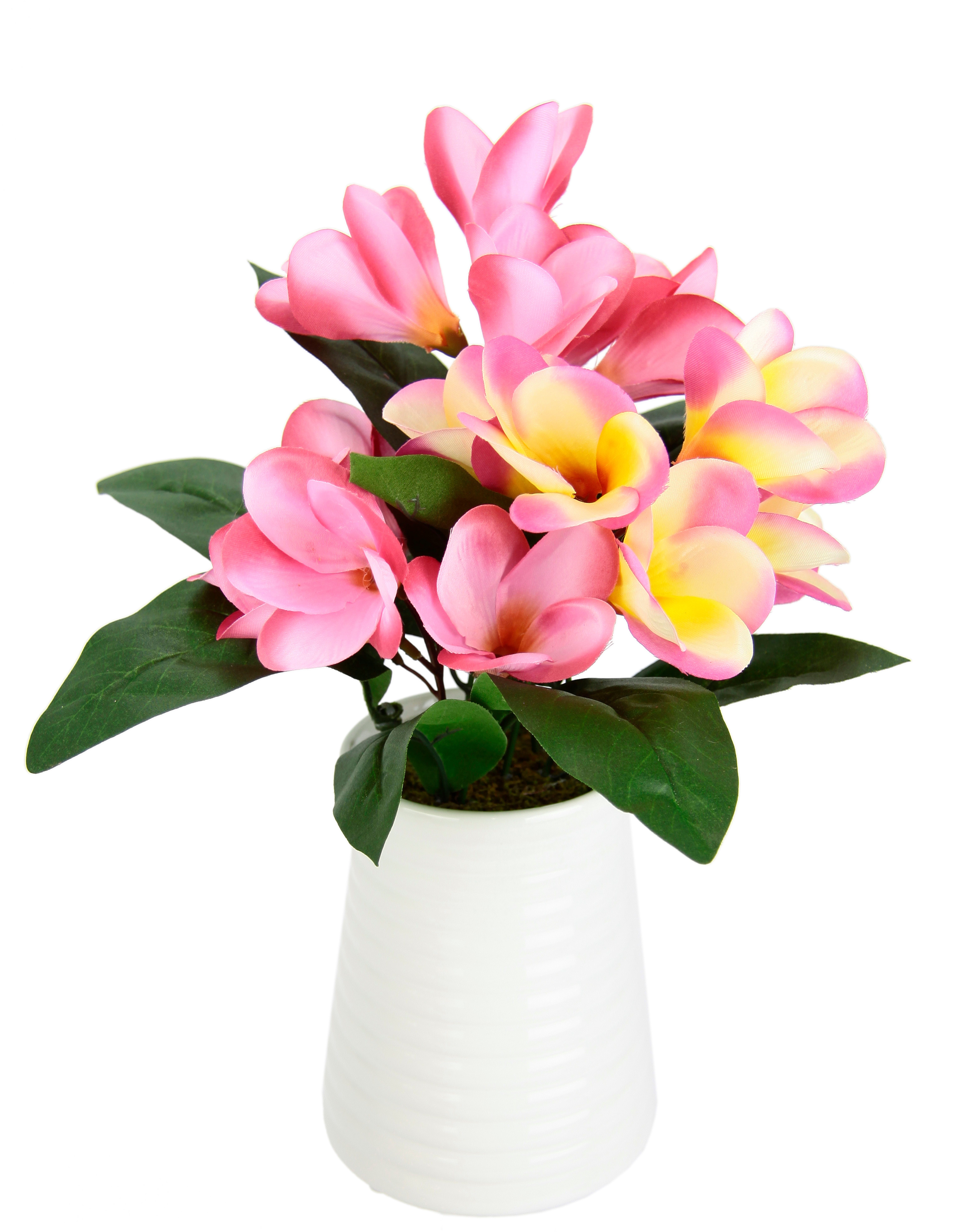 Kunstblume Frangipani in Vase aus Keramik, günstig online kaufen
