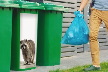 MuchoWow Wandsticker Waschbär - Tiere - weißer Hintergrund - Jungen - Mädchen - Kinder (1 St), Mülleimer-aufkleber, Mülltonne, Sticker, Container, Abfalbehälter