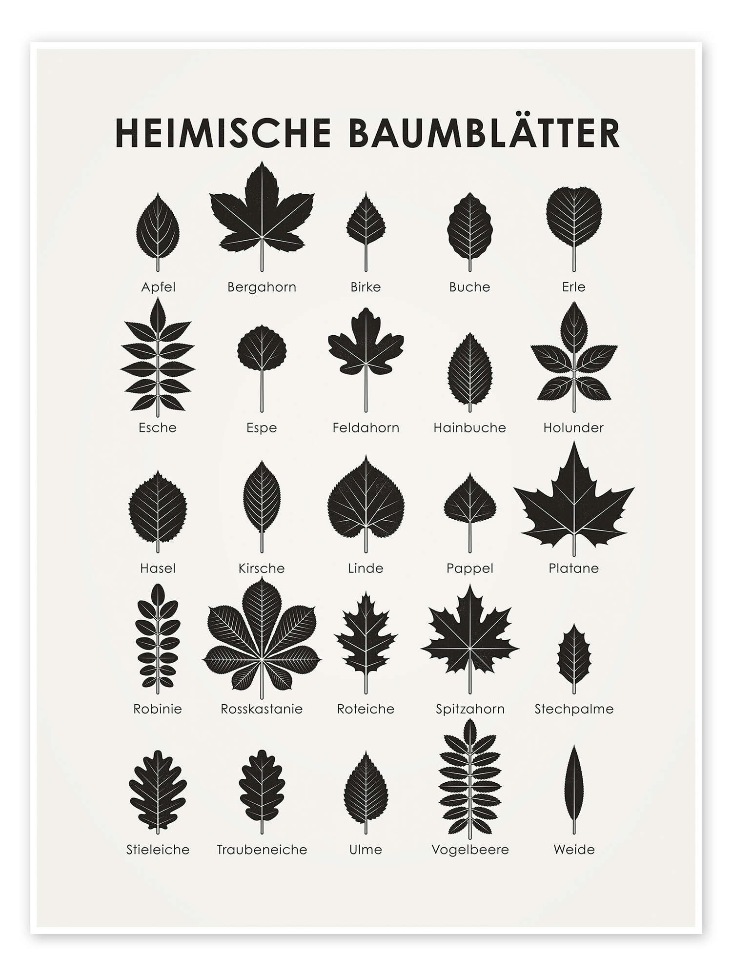 Posterlounge Poster Iris Luckhaus, Heimische Baumblätter, Wohnzimmer Skandinavisch Kindermotive