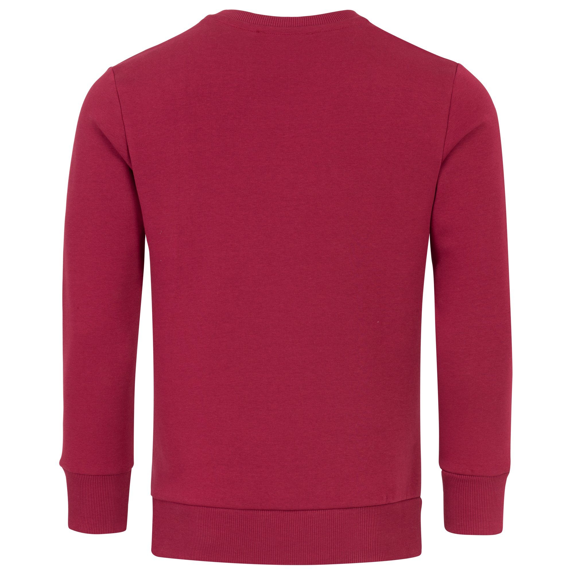 REPUBLIX Sweatshirt WYATT Herren Basic College Pullover Sweatjacke Hoodie günstig online kaufen