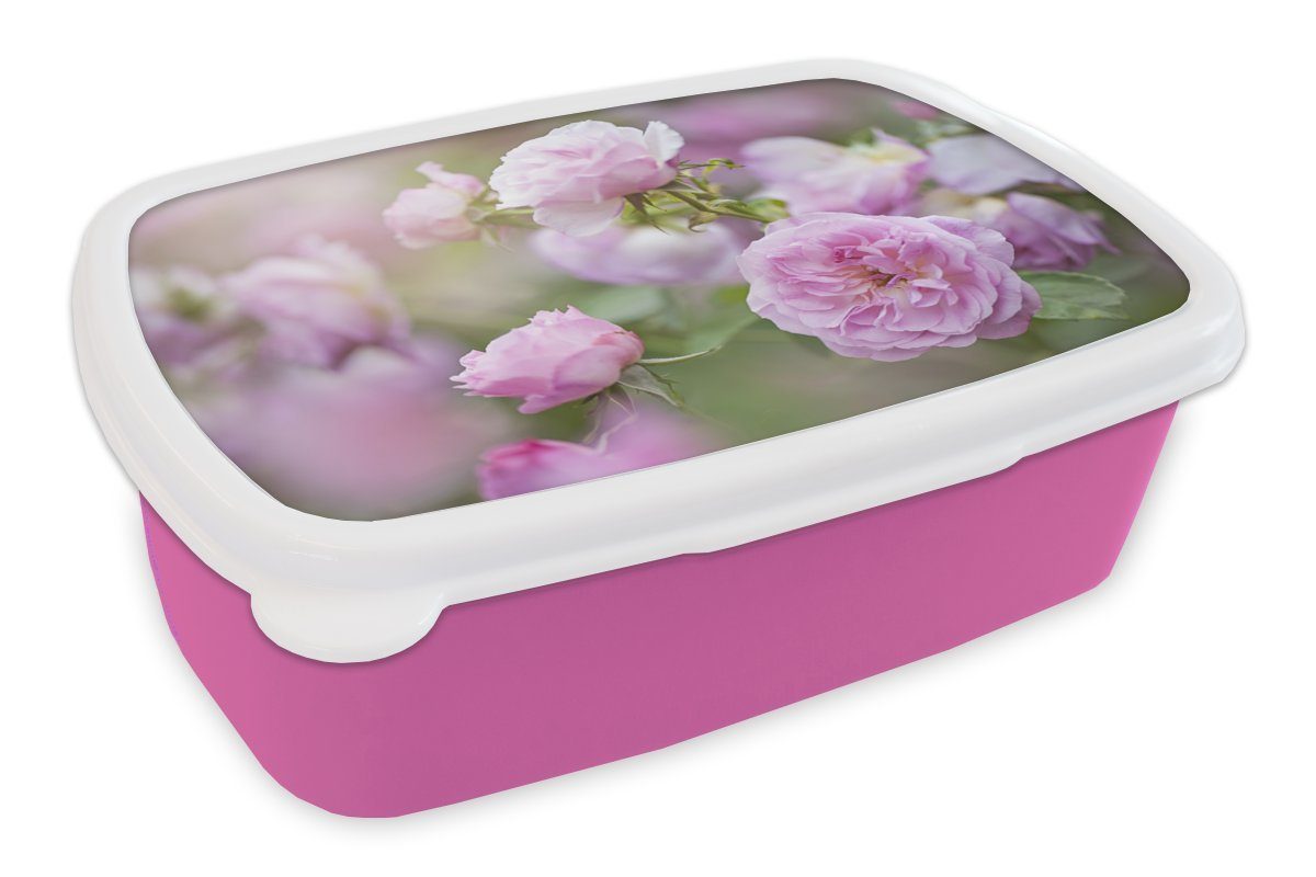 MuchoWow Lunchbox Pflanzen von rosa Rosen wachsen in der Natur, Kunststoff, (2-tlg), Brotbox für Erwachsene, Brotdose Kinder, Snackbox, Mädchen, Kunststoff