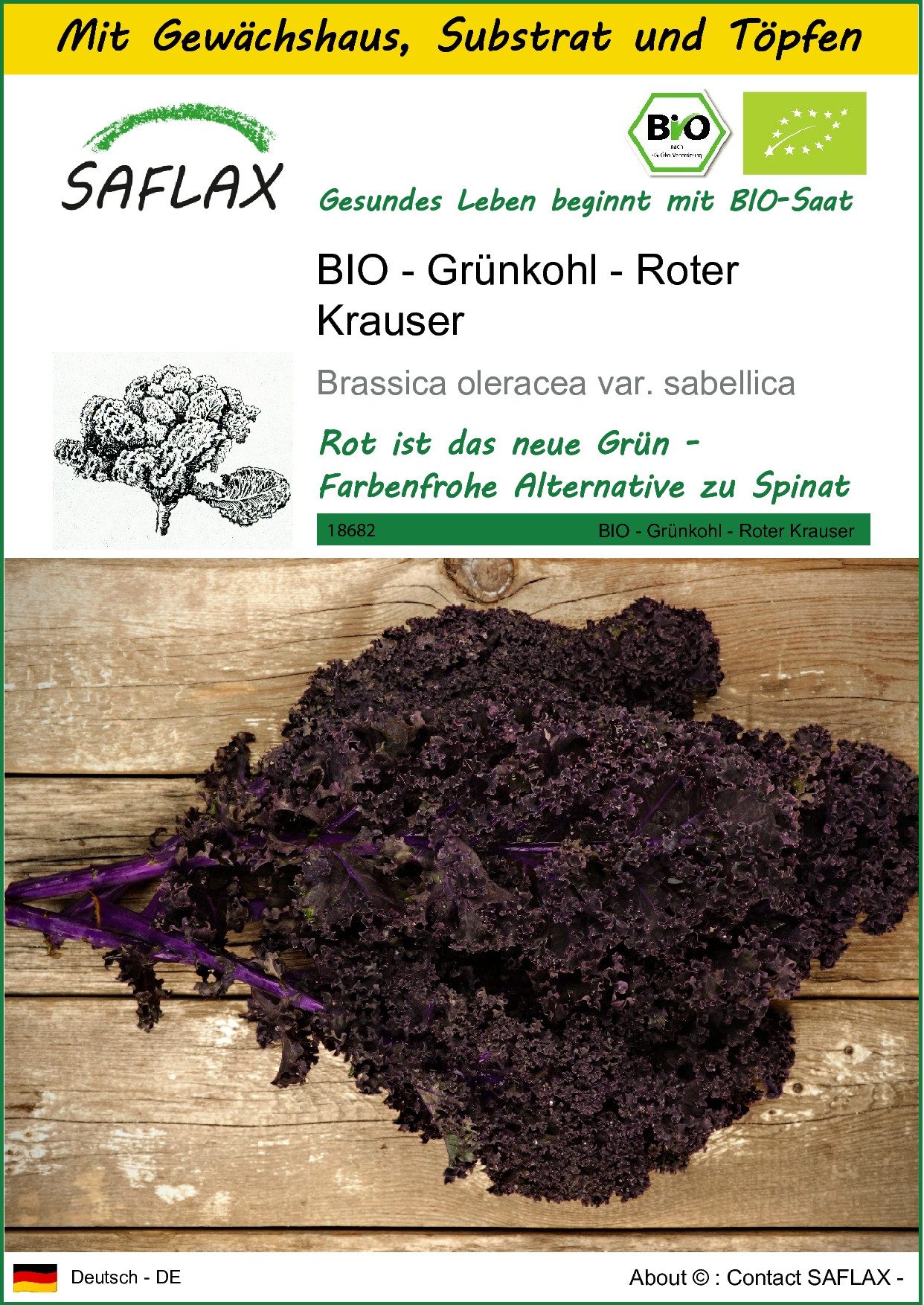 SAFLAX Gemüsesamen SAFLAX - Anzuchtset - BIO - Grünkohl - Roter Krauser