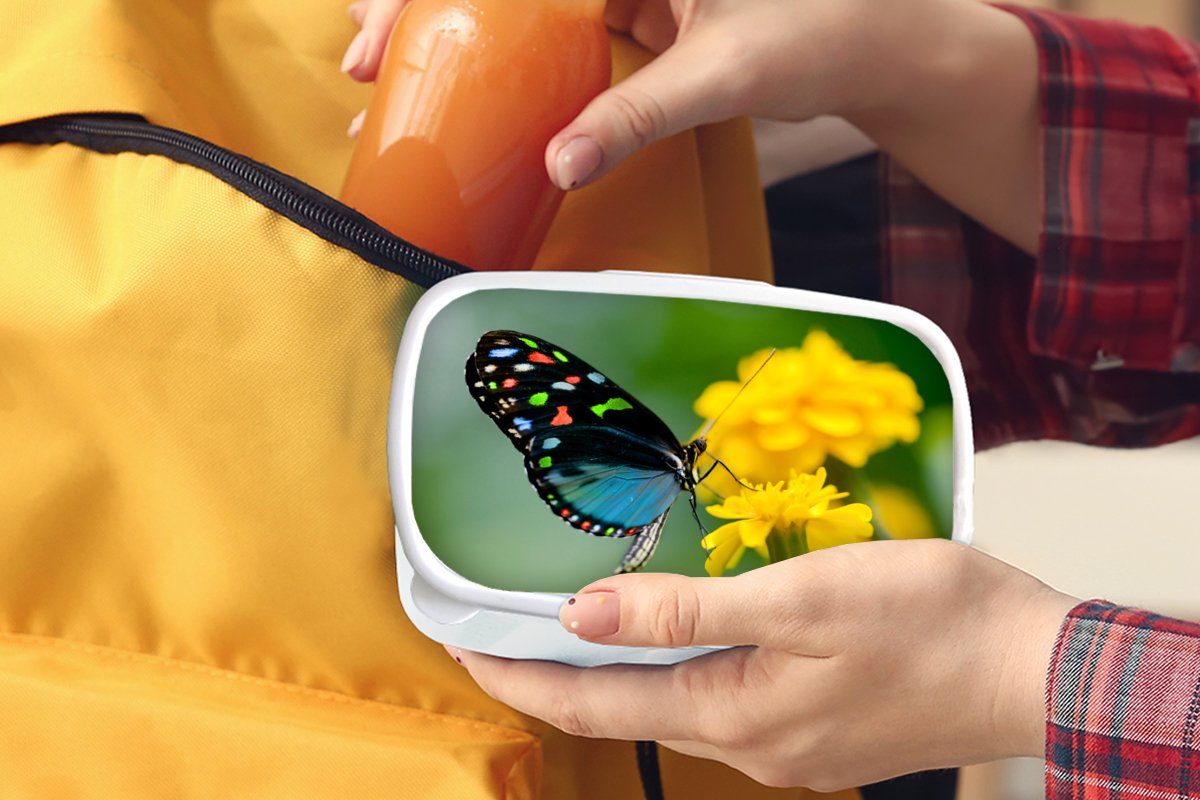MuchoWow Lunchbox Schmetterling - und Kunststoff, (2-tlg), für weiß Brotbox Insekt, und - Tier Jungs Kinder Erwachsene, Brotdose, Blume für - Mädchen
