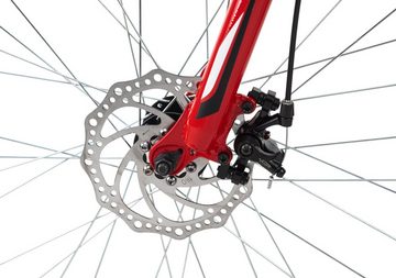 KS Cycling Mountainbike Xtinct, 21 Gang Shimano Tourney Schaltwerk, Kettenschaltung, für Herren, Kettenschaltung