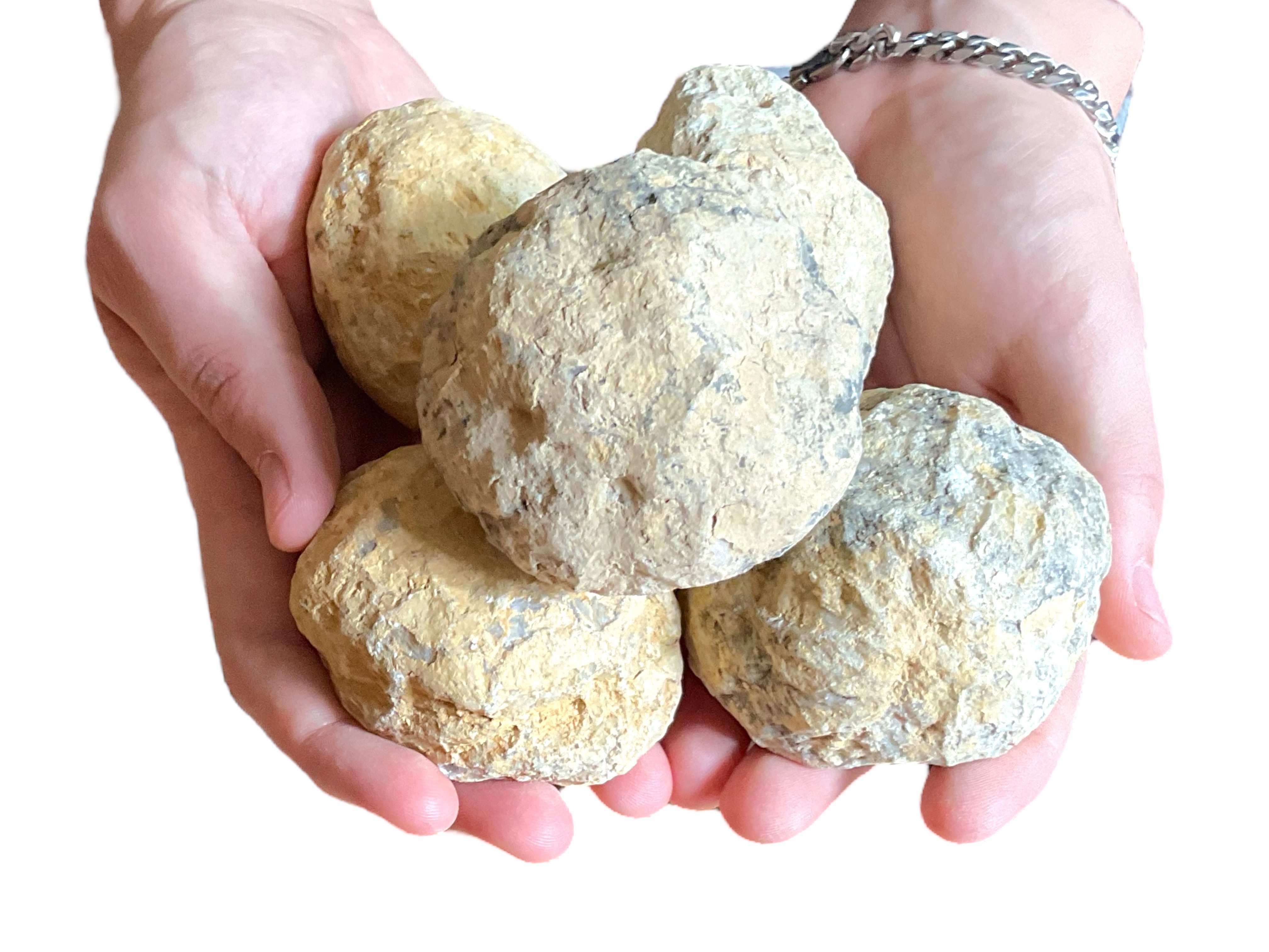 Steinfixx® Experimentierkasten grosses 5-teiliges Geoden Set - Quarzgeoden ungeöffnet, (SPARSET Grösse je 6-7 cm, Gesamt 900-1000 gr., 1-tlg., mit Anleitung und Erklärungen), garantierte weiße Kristalle, Top 1A-Qualität, Marokko