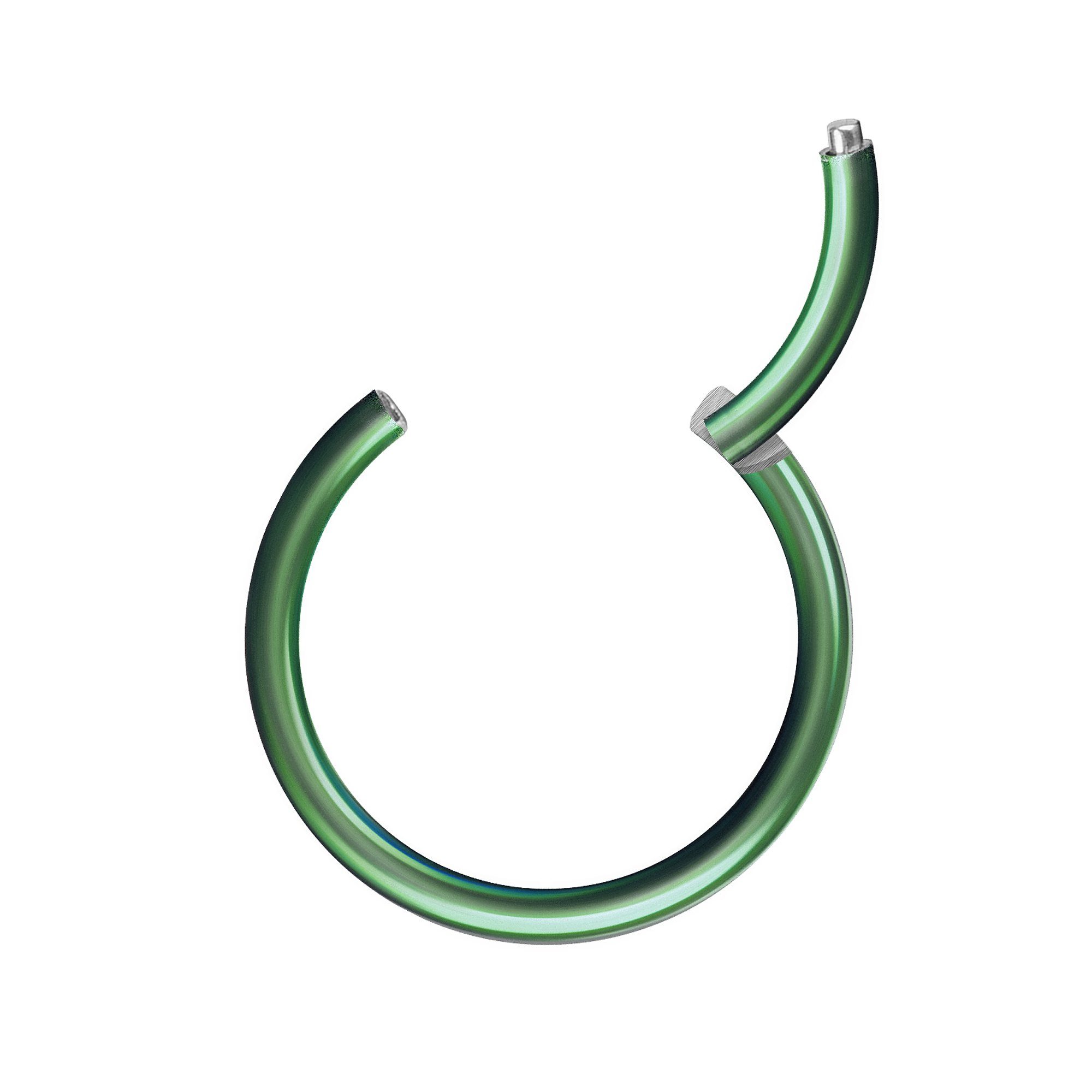 Taffstyle Nasenpiercing Segmentring Piercing Titan G23 günstig online kaufen