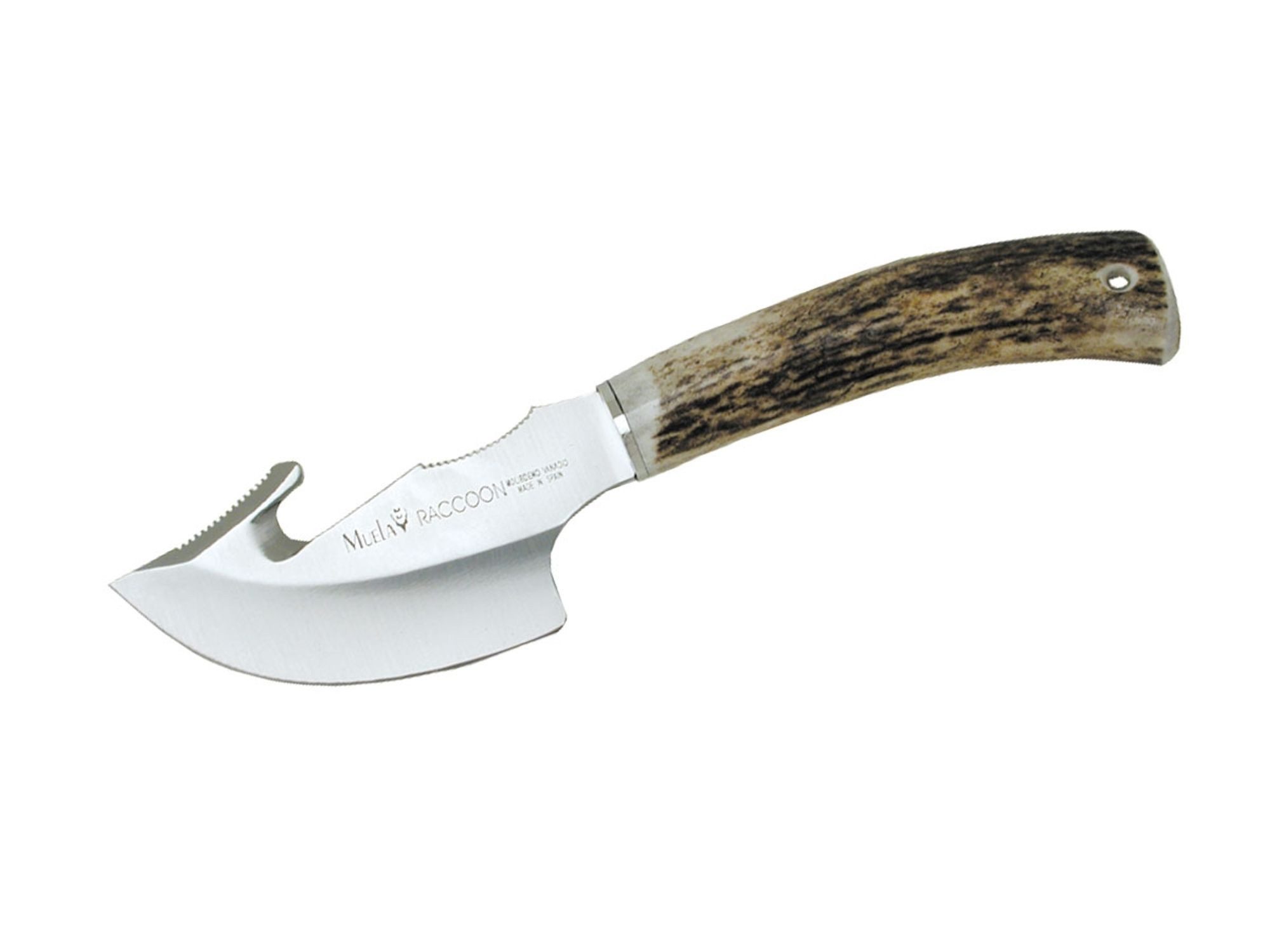 Muela Taschenmesser Muela Raccoon Stag 8A