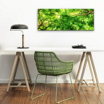 artissimo Glasbild Glasbild 80x30cm Bild aus Glas Wohnzimmer Baumkronen Wald grün, Landschaft: Bäume im Frühling