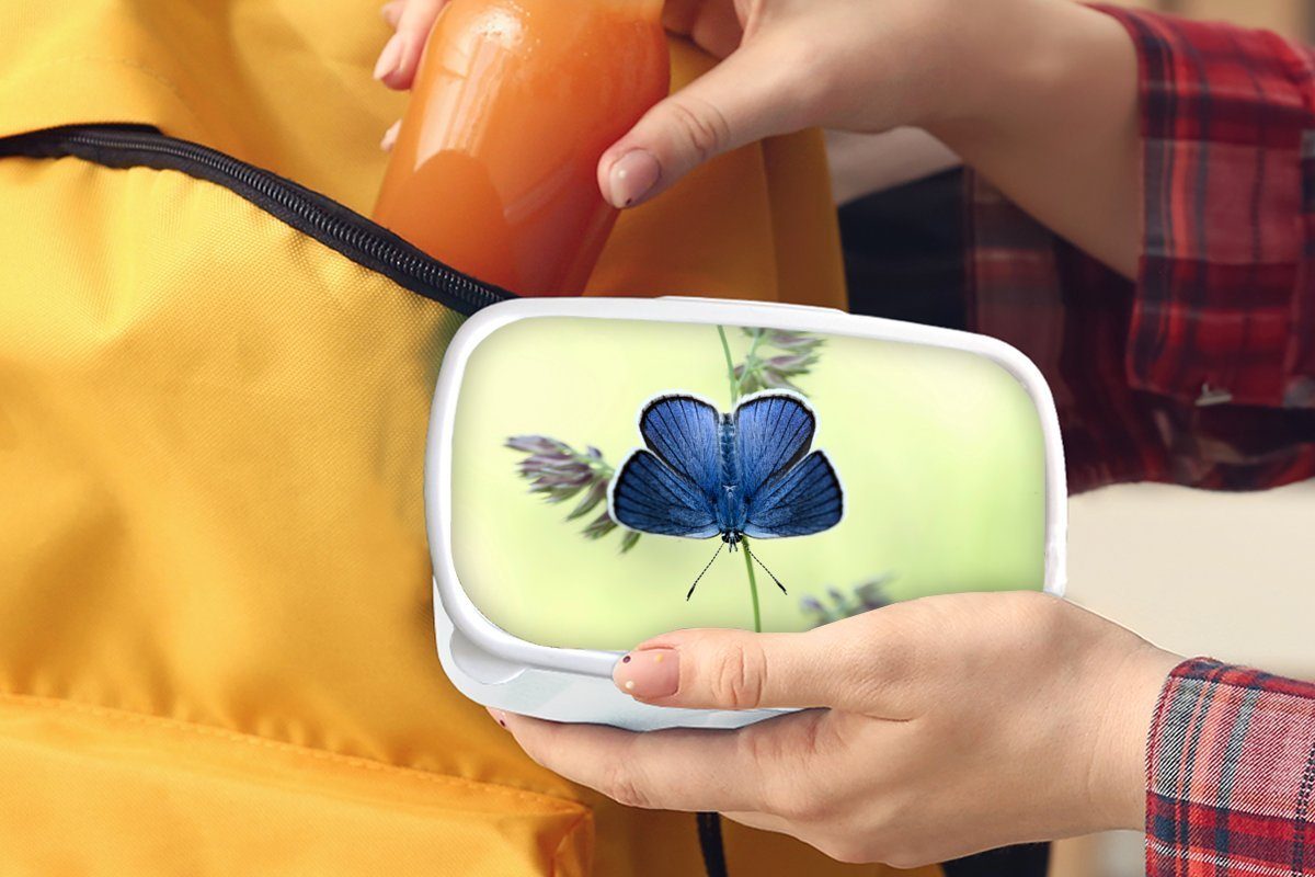MuchoWow Lunchbox Blauer Schmetterling, Kinder für Erwachsene, Jungs (2-tlg), weiß für Kunststoff, Mädchen und Brotdose, Brotbox und