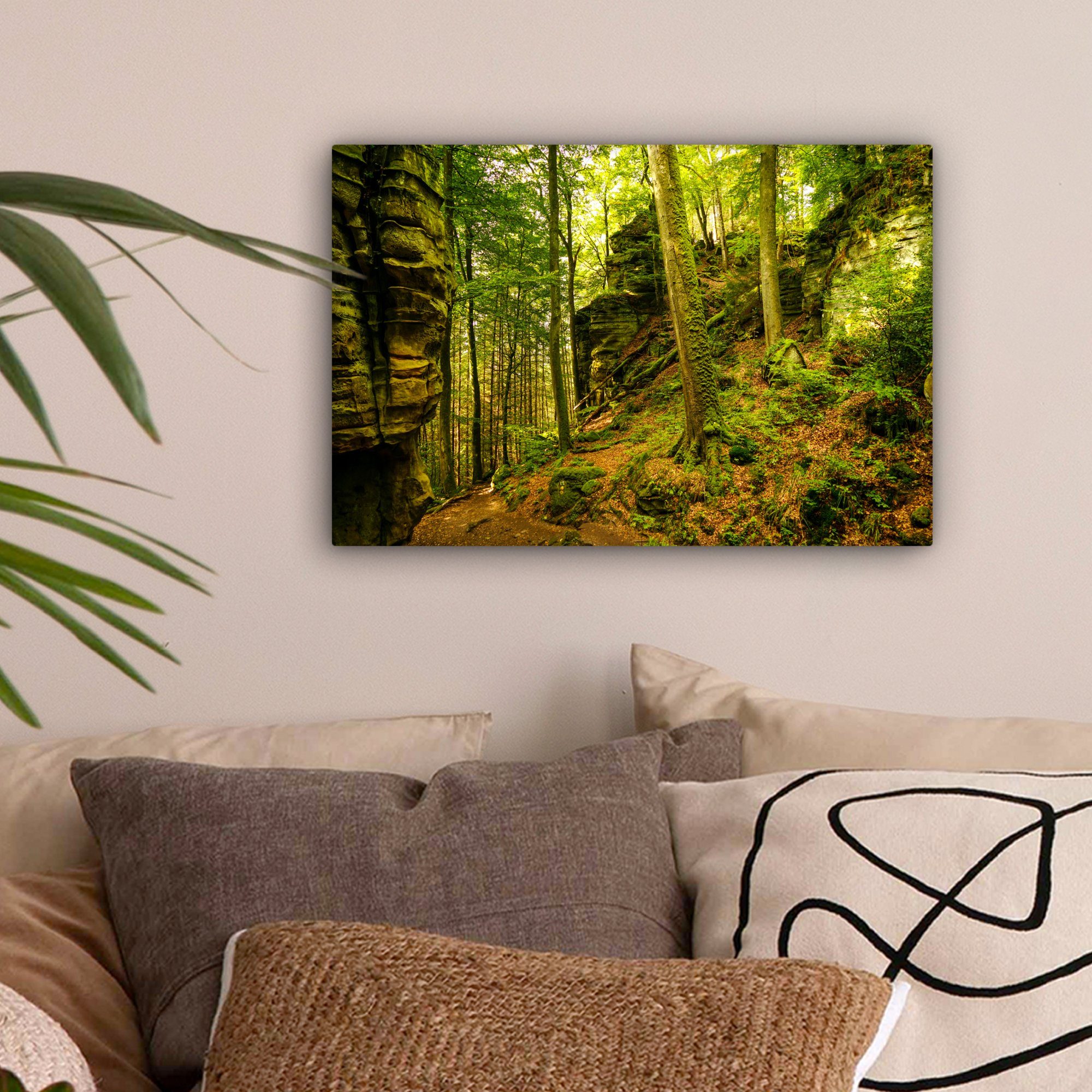 OneMillionCanvasses® Leinwandbild Bäume - Stein - Wald - Natur - Pflanzen, Fotodruck (1 St), Leinwand Bilder Klein, Wand Dekoration Aesthetic 30x20 cm