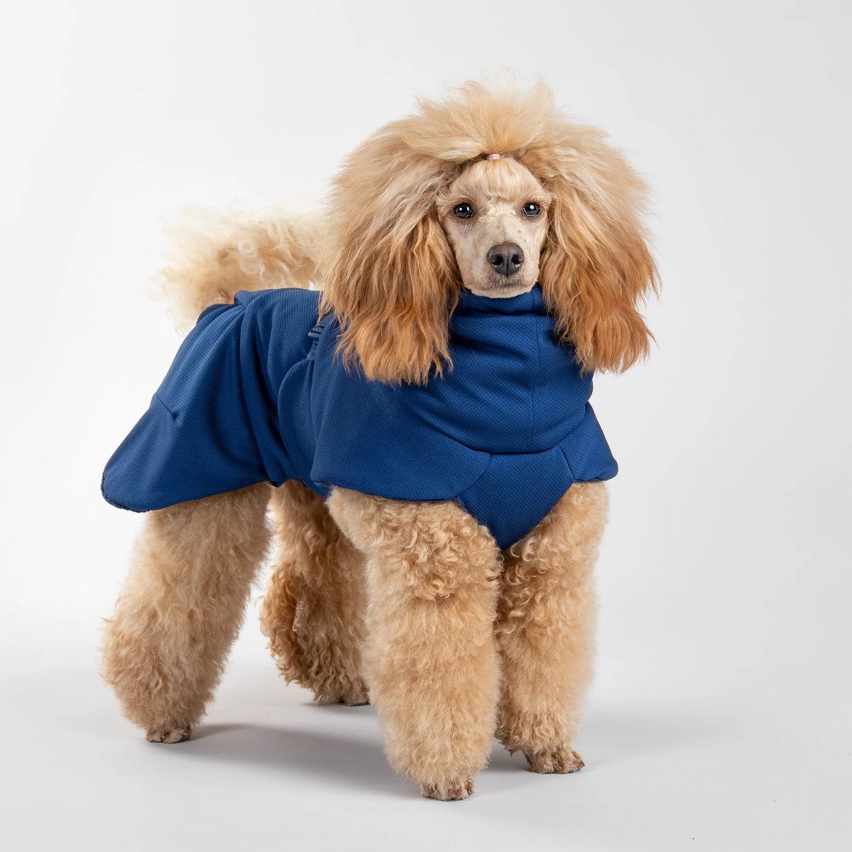 PAIKKA Hundebademantel Hunde Bademantel "Drying Coat Spa navy