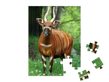puzzleYOU Puzzle Bergbongo, Weibchen, 48 Puzzleteile, puzzleYOU-Kollektionen Antilopen, Tiere in Savanne & Wüste