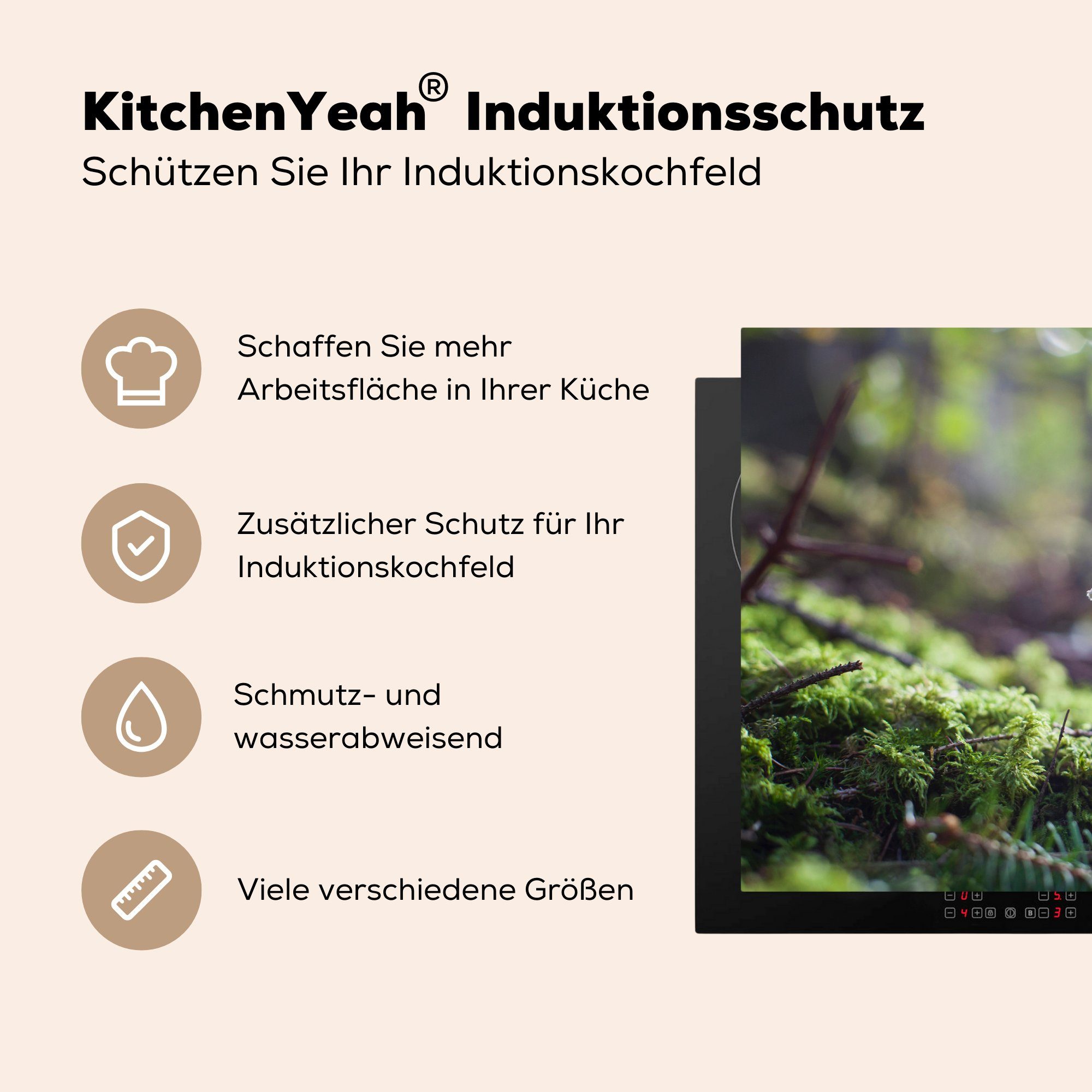 einem küche, tlg), Herdblende-/Abdeckplatte in 81x52 die für Induktionskochfeld Pilz Vinyl, MuchoWow Schutz Ceranfeldabdeckung Wald, (1 cm,