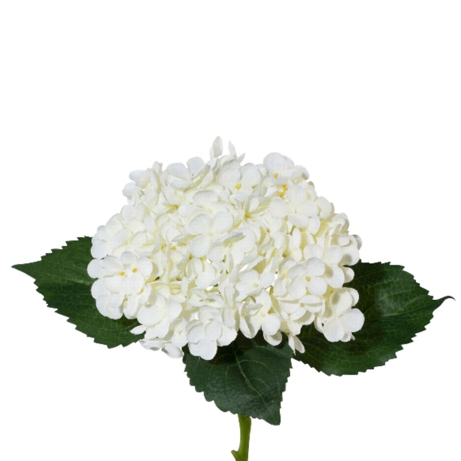Kunstblume