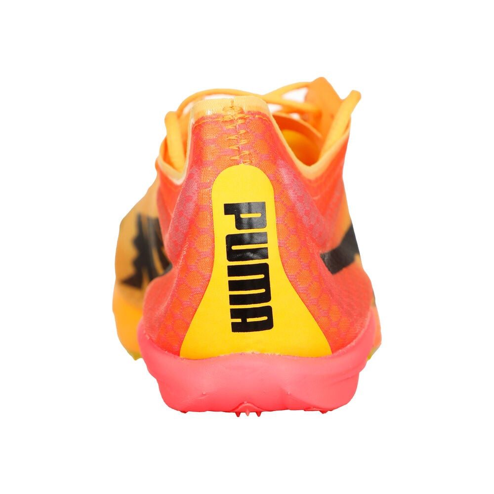 PUMA Evospeed Distance Nitro Elite+ 4 - Spikeschuh Laufschuh