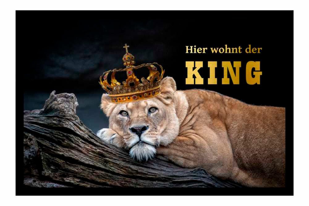 Ladreas Fußmatte Schmutzfangmatte Hier wohnt der King Löwe König F1030, 60x40