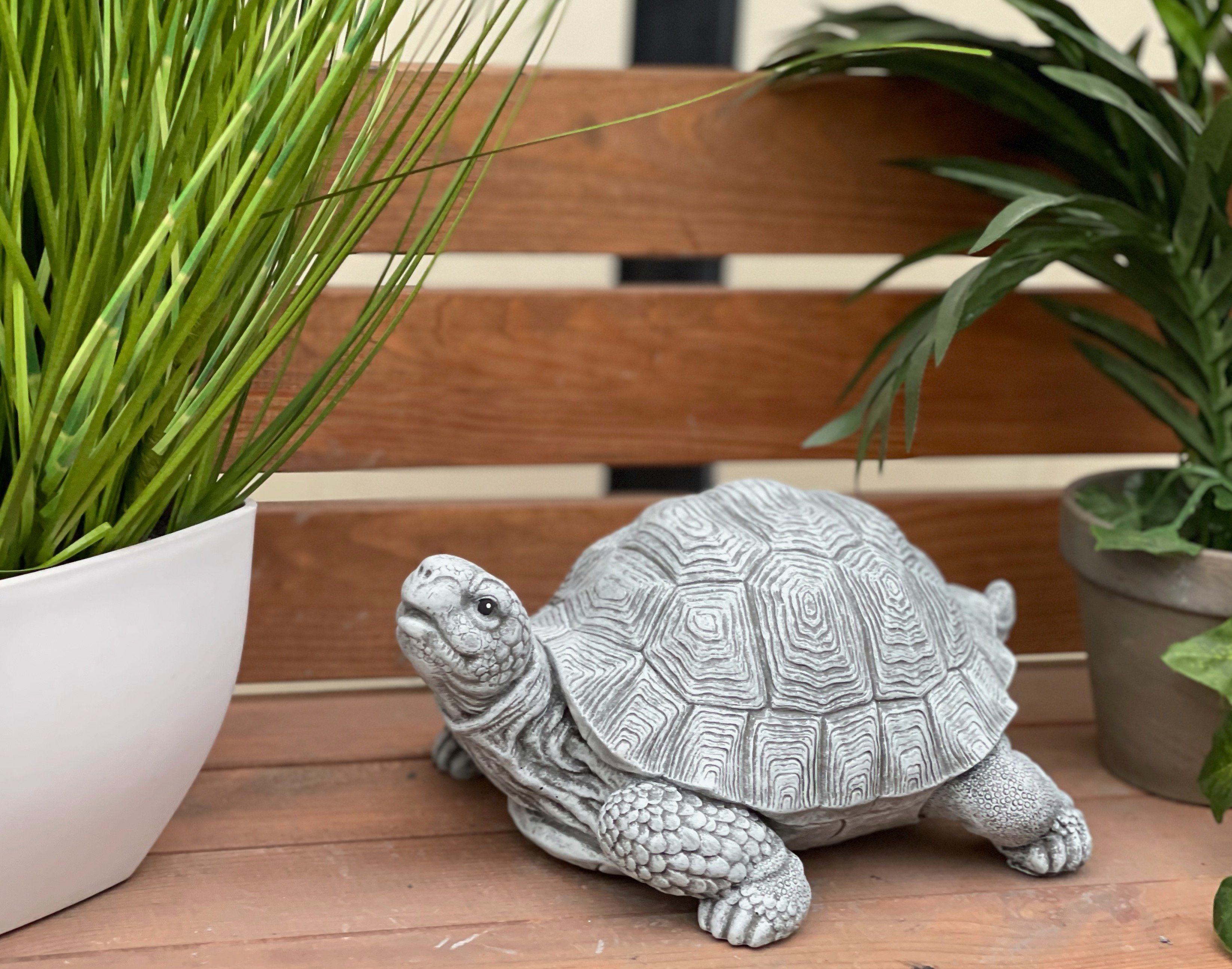 Stone and Style Gartenfigur Frostfeste Steinfigur Schildkröte Tortie – Bild 2 von 5