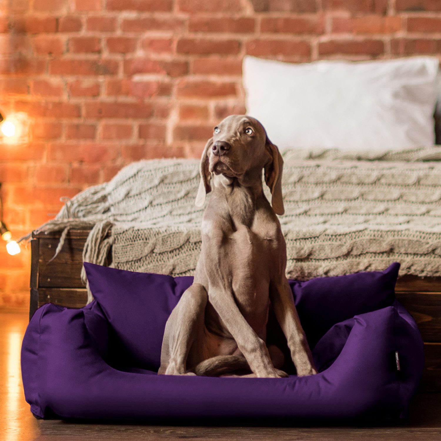 tierlando® Tierbett NEMO Hundebett Hundesofa S M L Hundekorb günstig online kaufen