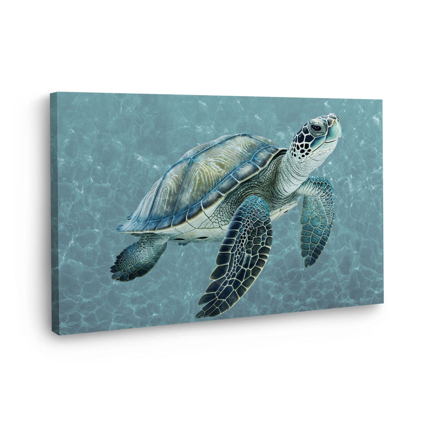 Artedinoi Leinwandbild Meeresschildkröte Wandbild Schildkröte Leinwandbild Kunstdruck XL Wand