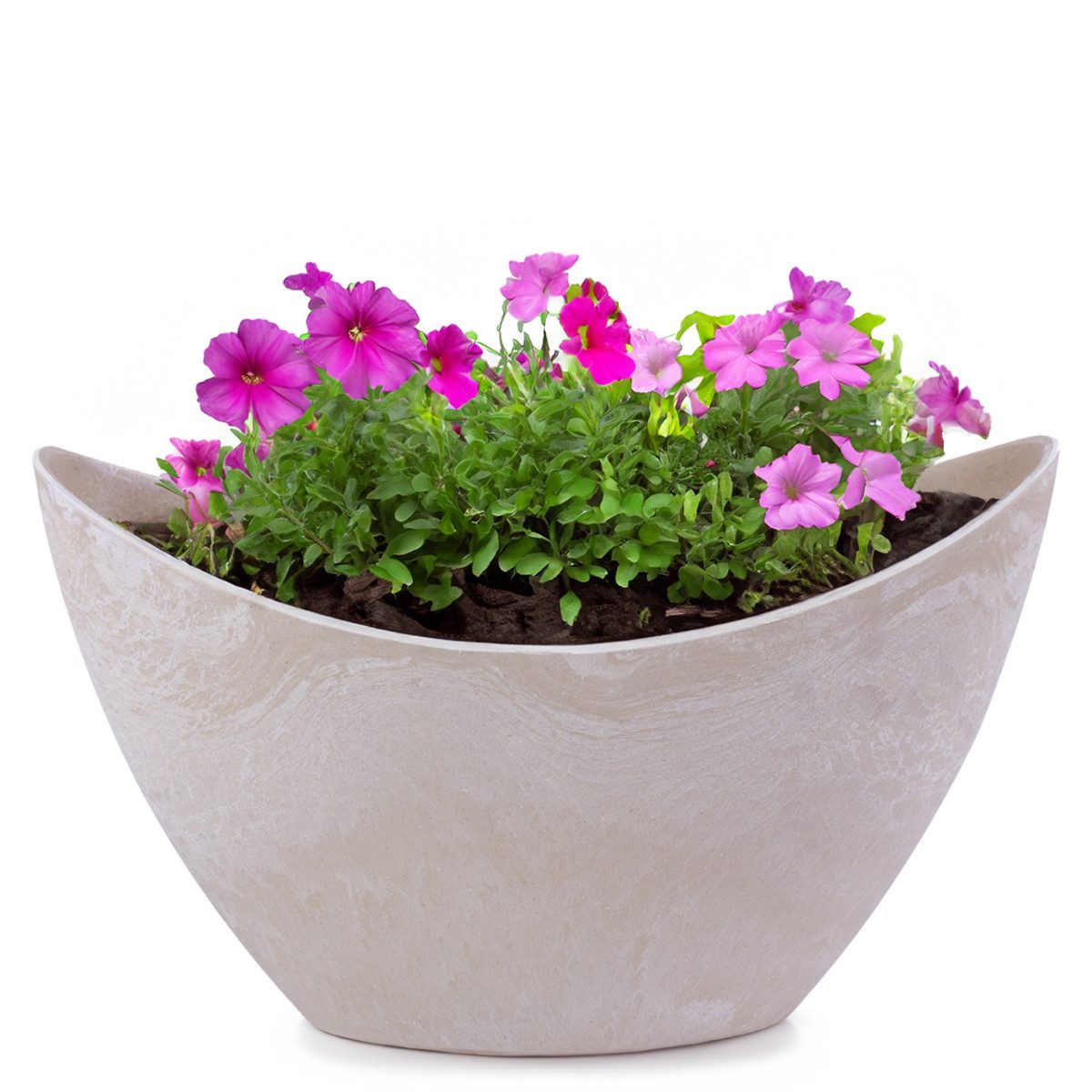 matches21 HOME & HOBBY Blumentopf Pflanzschale günstig online kaufen