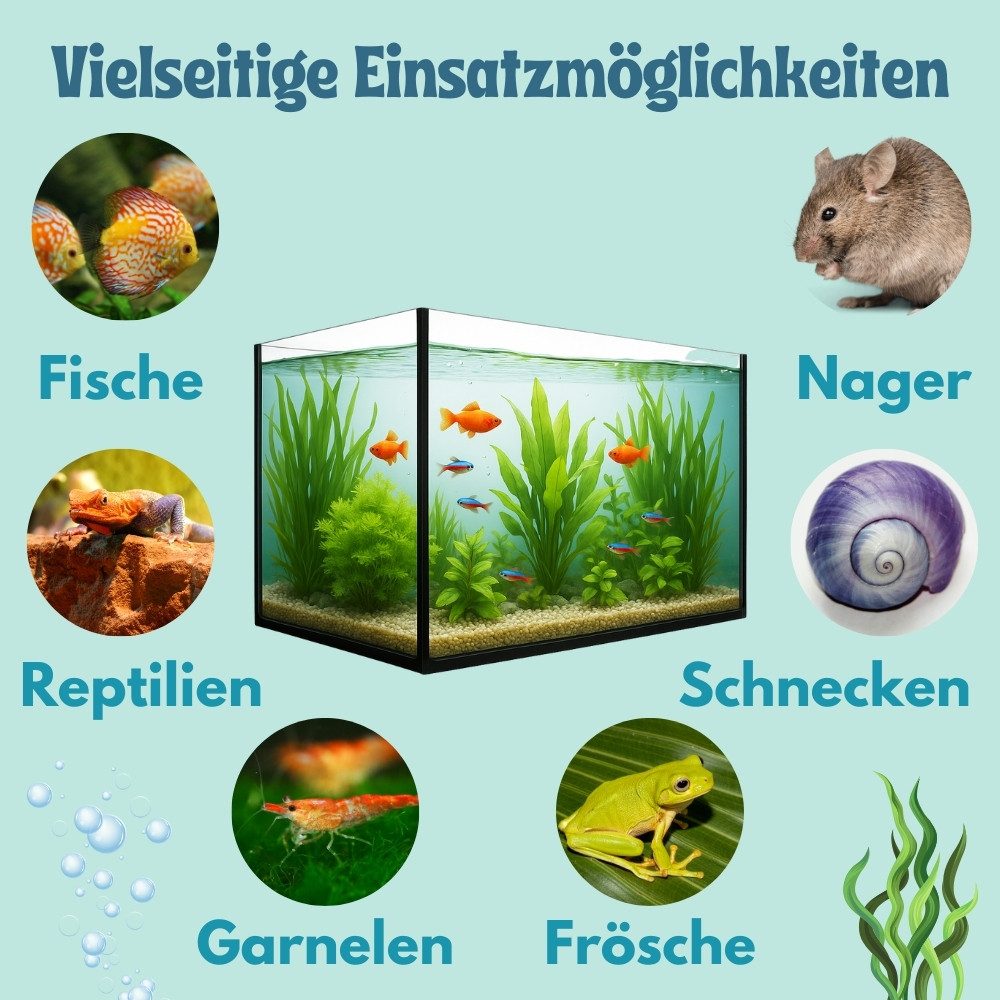 GarPet Aquarium Aquarium Becken rechteckig standard Größen Glas Aquariumbecken