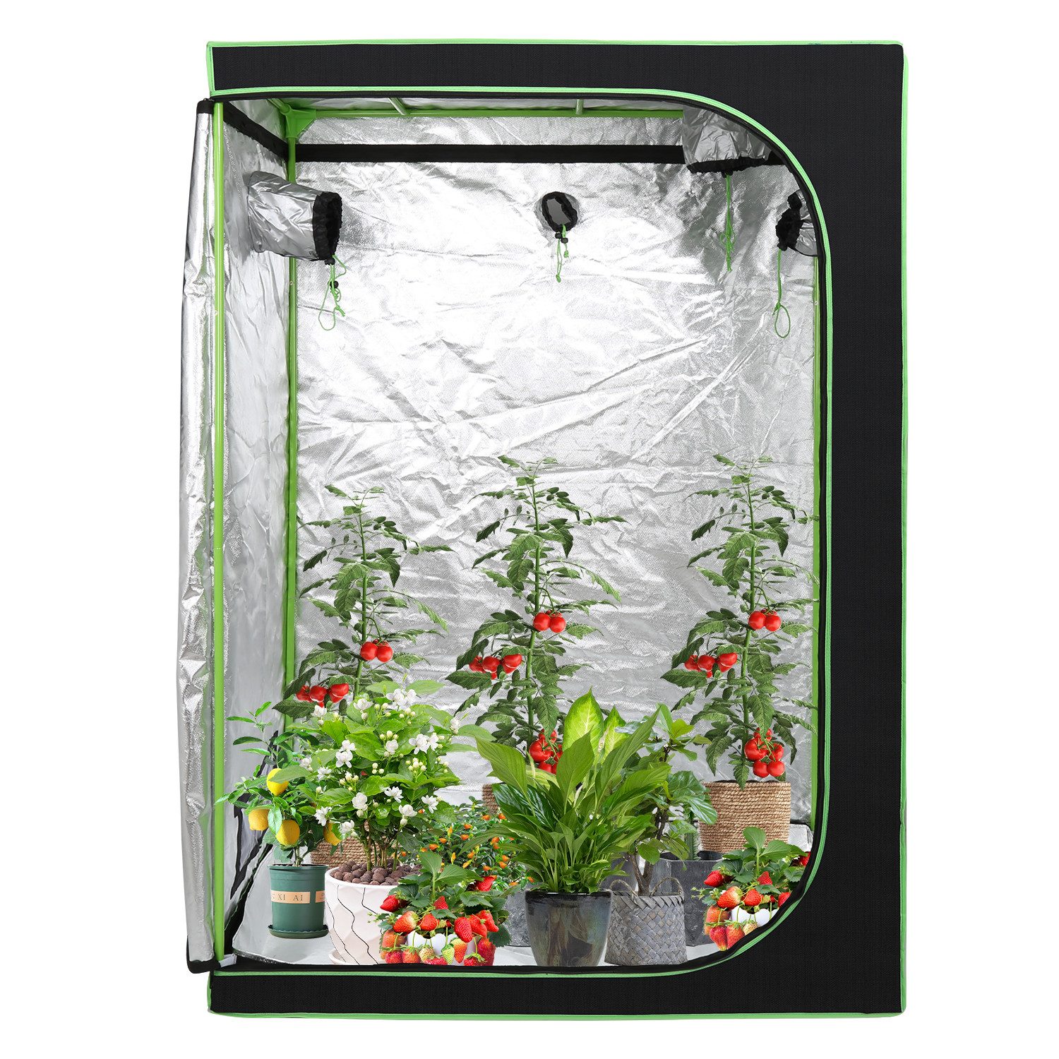 Clanmacy Gewächshaus Growbox Pflanzenzelt Indoor & günstig online kaufen