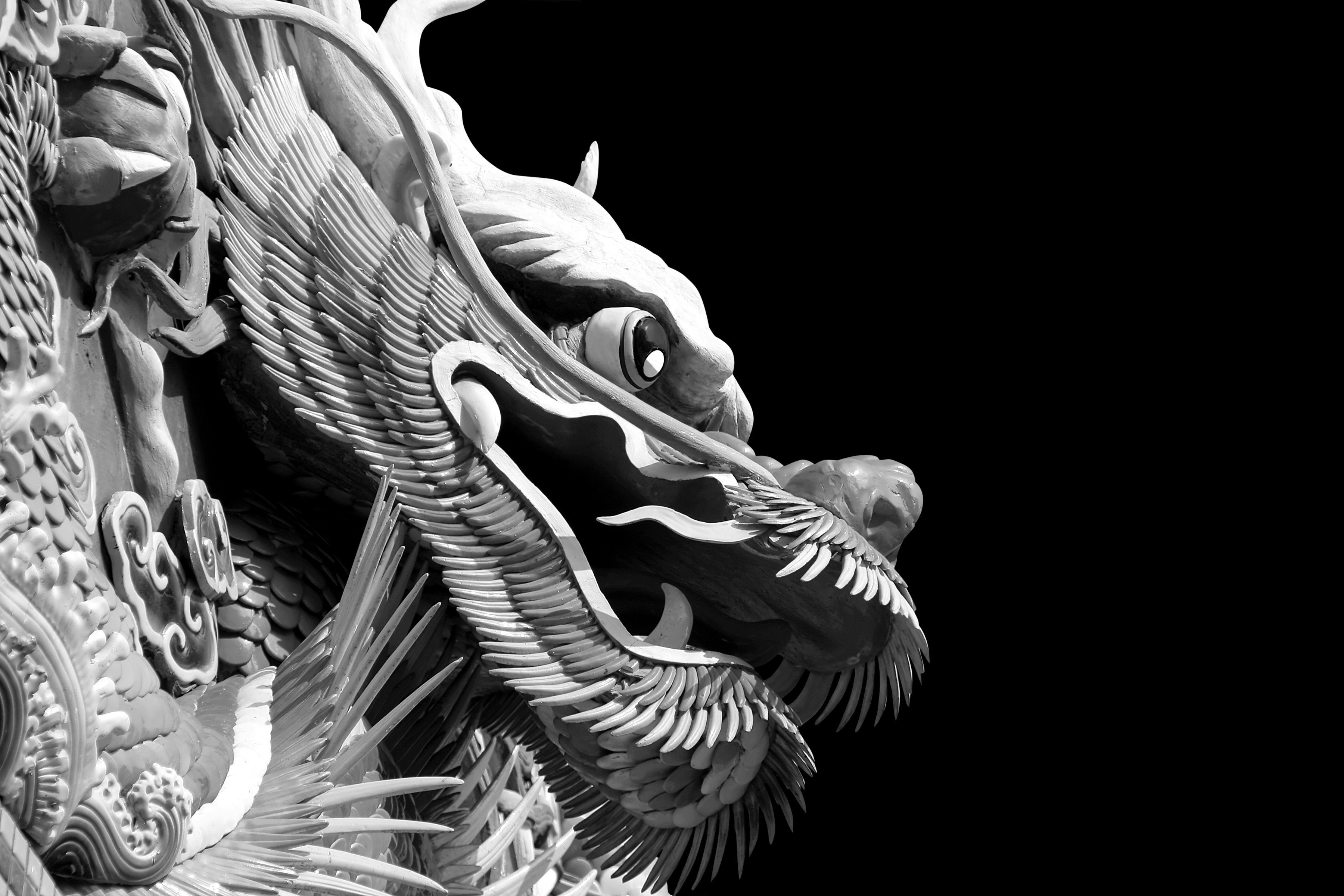 Papermoon Fototapete Chinesischer Drache & Weiß Schwarz