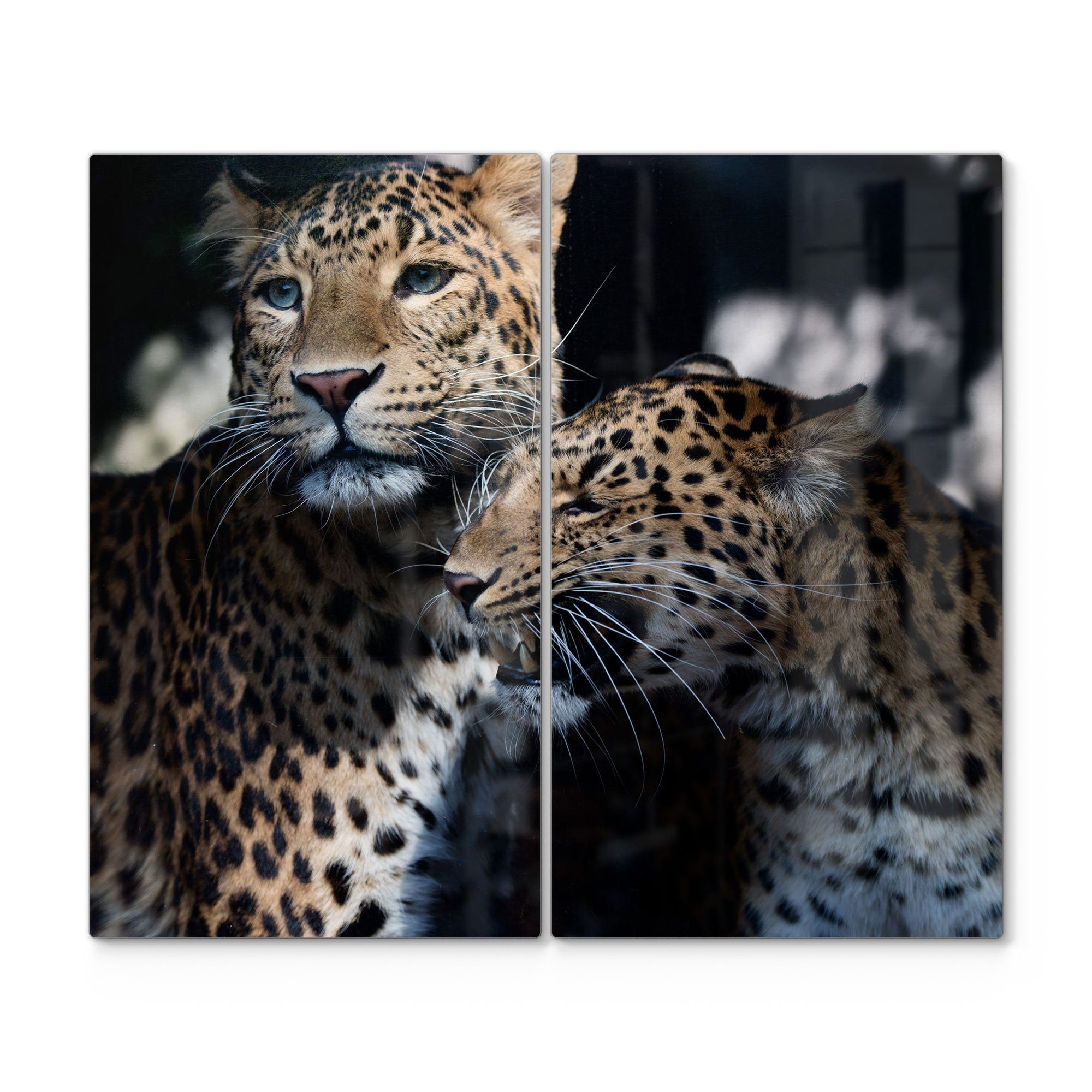 DEQORI Herdblende-/Abdeckplatte 'Seltenes Leopardenpaar', Glas, (2 tlg), Herdabdeckplatte Ceranfeld Herd Platte Abdeckung Glasplatte