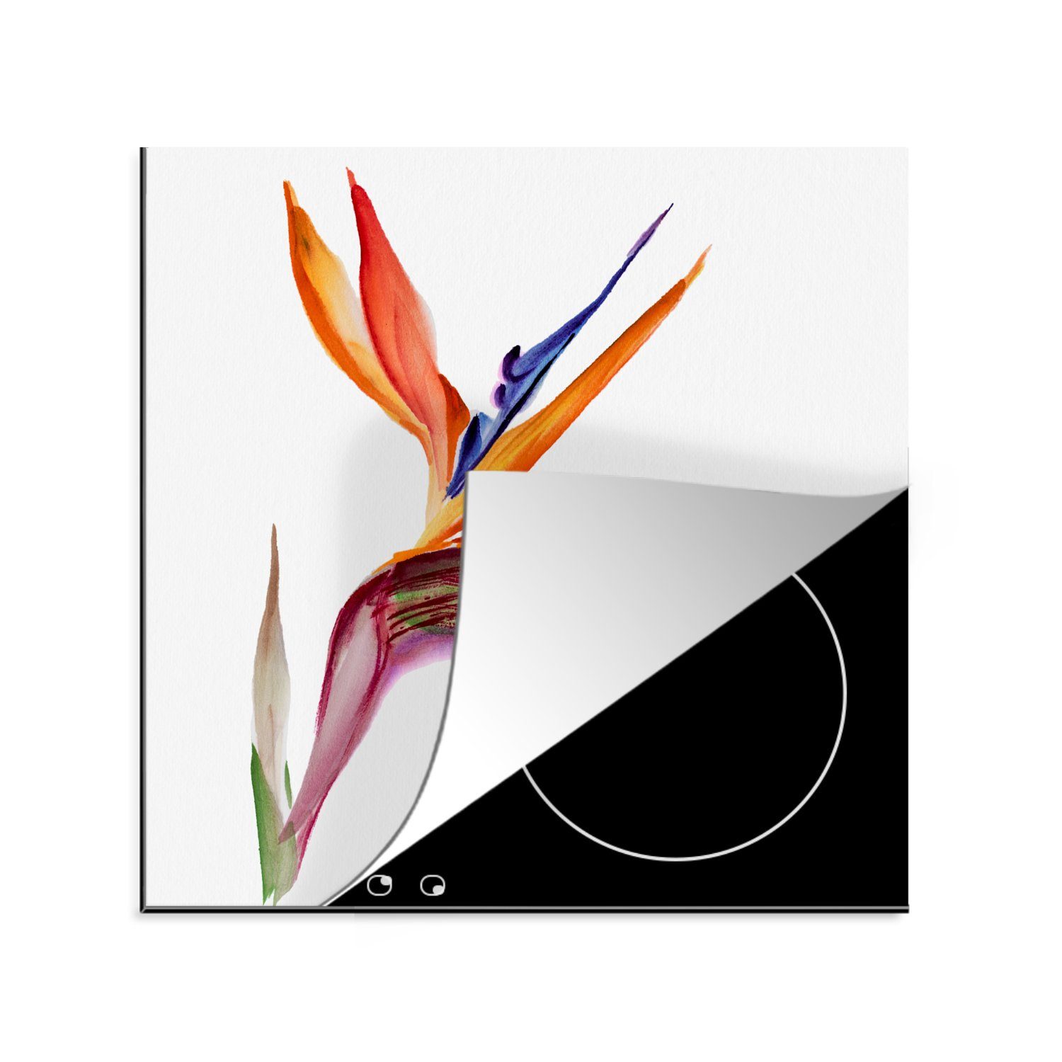 MuchoWow Herdblende-/Abdeckplatte Strelitzia - Aquarell - Blumen, Vinyl, (1 tlg), 78x78 cm, Ceranfeldabdeckung, Arbeitsplatte für küche | Herdabdeckplatten
