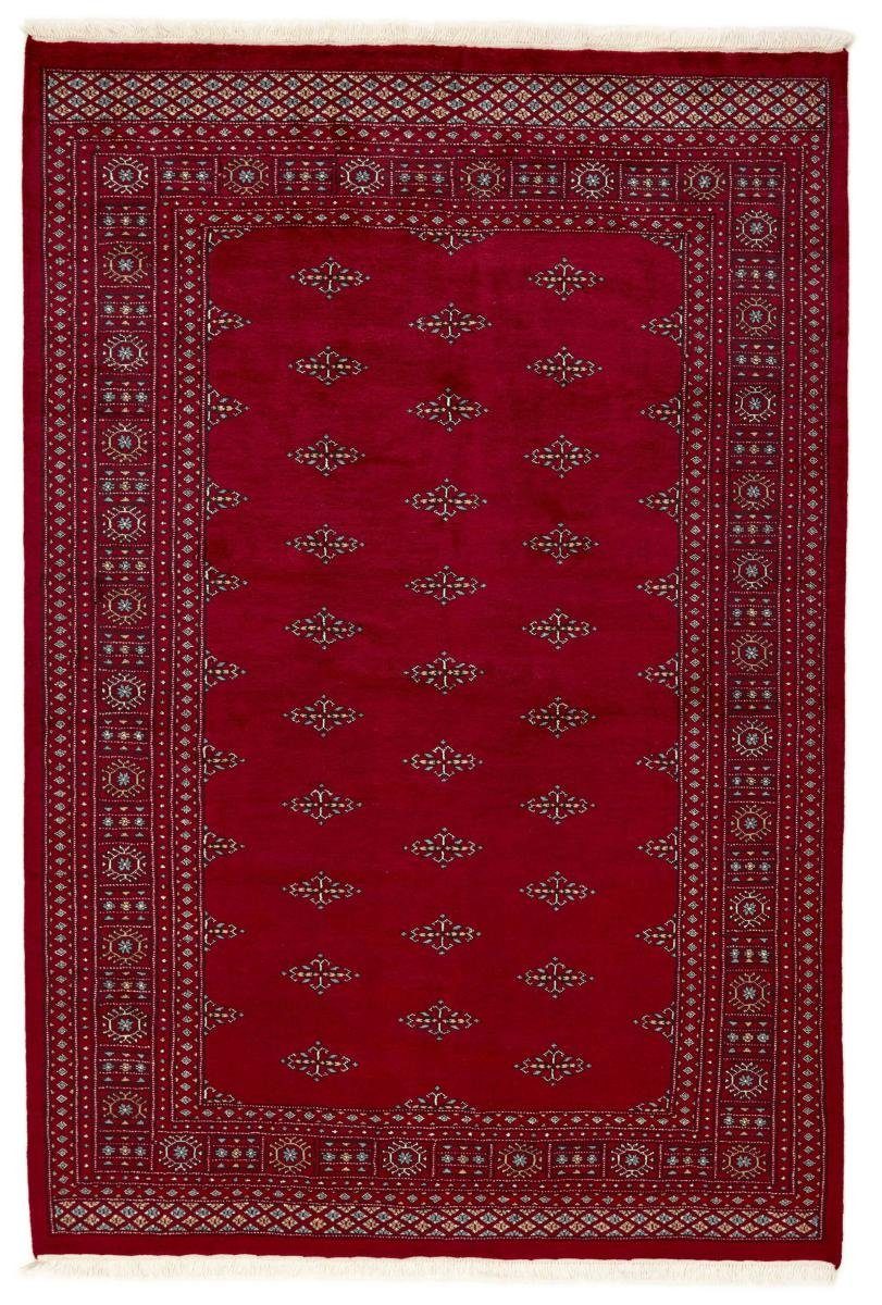 Orientteppich Pakistan Buchara 3ply 170x248 Handgeknüpfter Orientteppich, Nain Trading, rechteckig, Höhe: 8 mm