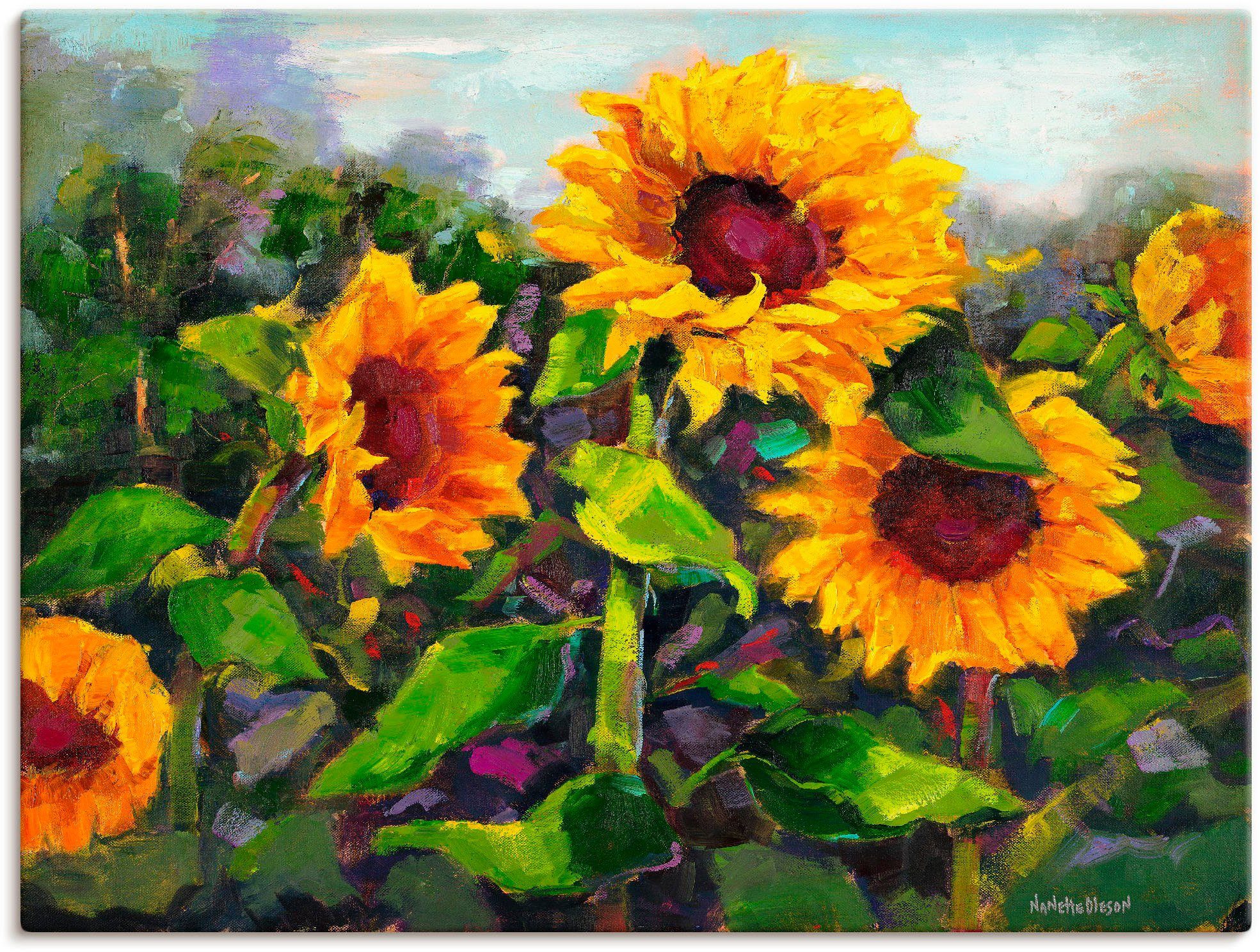 Leinwandbild Das Erwachen der Sonnenblumen IV