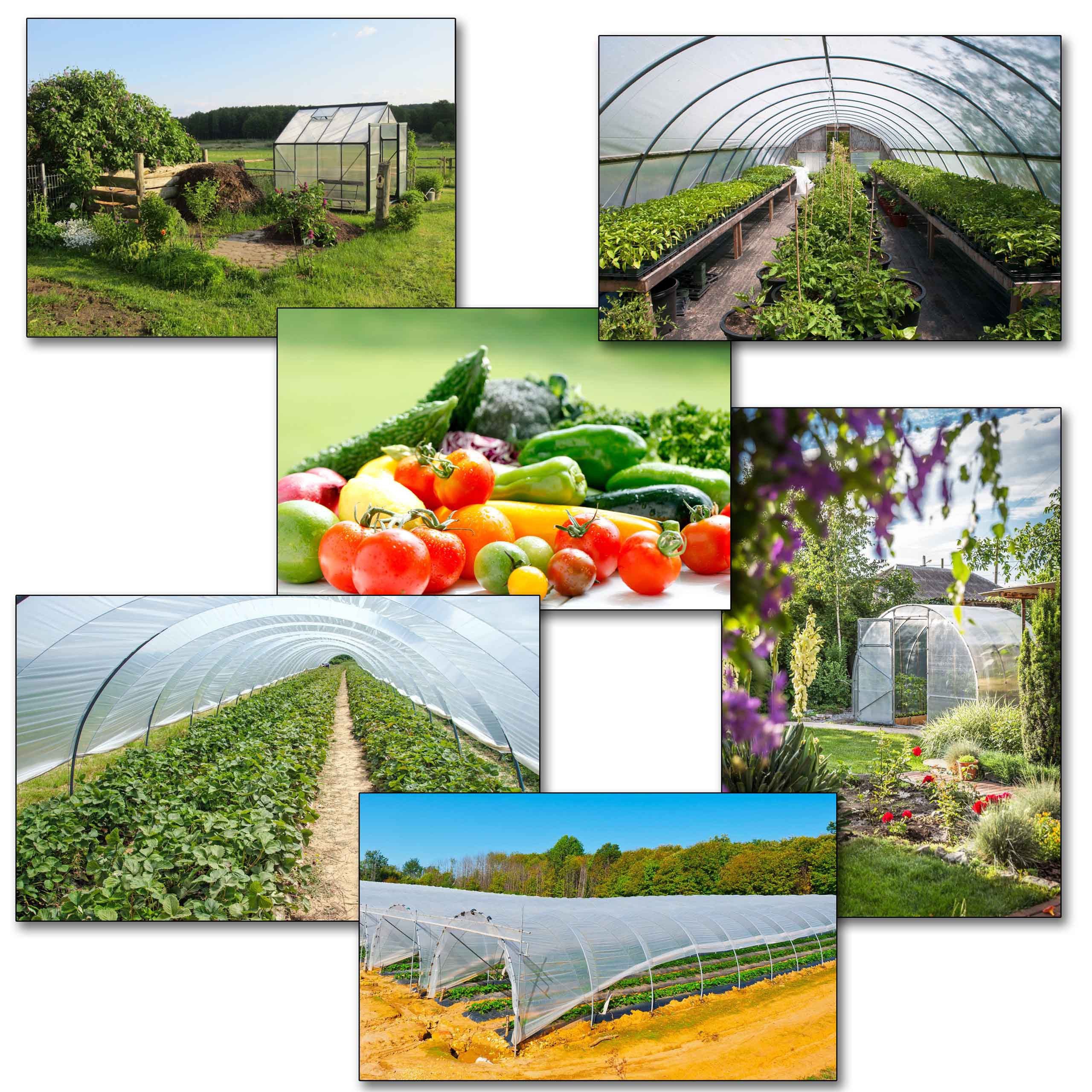 Sarcia.eu Gewächshaus Transparente Gartenfolie, Gewächshausfolie UV10 günstig online kaufen