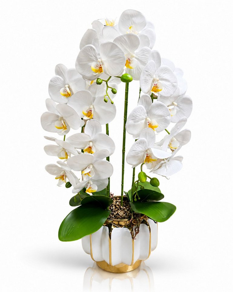 Kunstorchidee PASCH® Orchidee künstlich wie echt in Hochglanz-Keramiktopf Orchidee, PASCH, Hochglanz Keramiktopf
