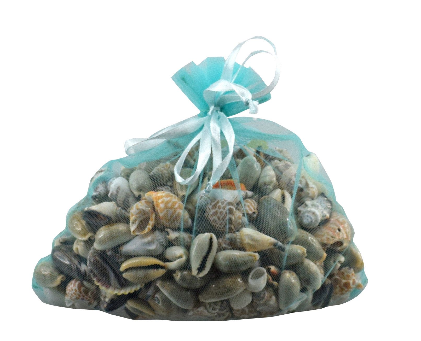 Forchtenberger Puzzle & Spiele Dekoobjekt Muscheln